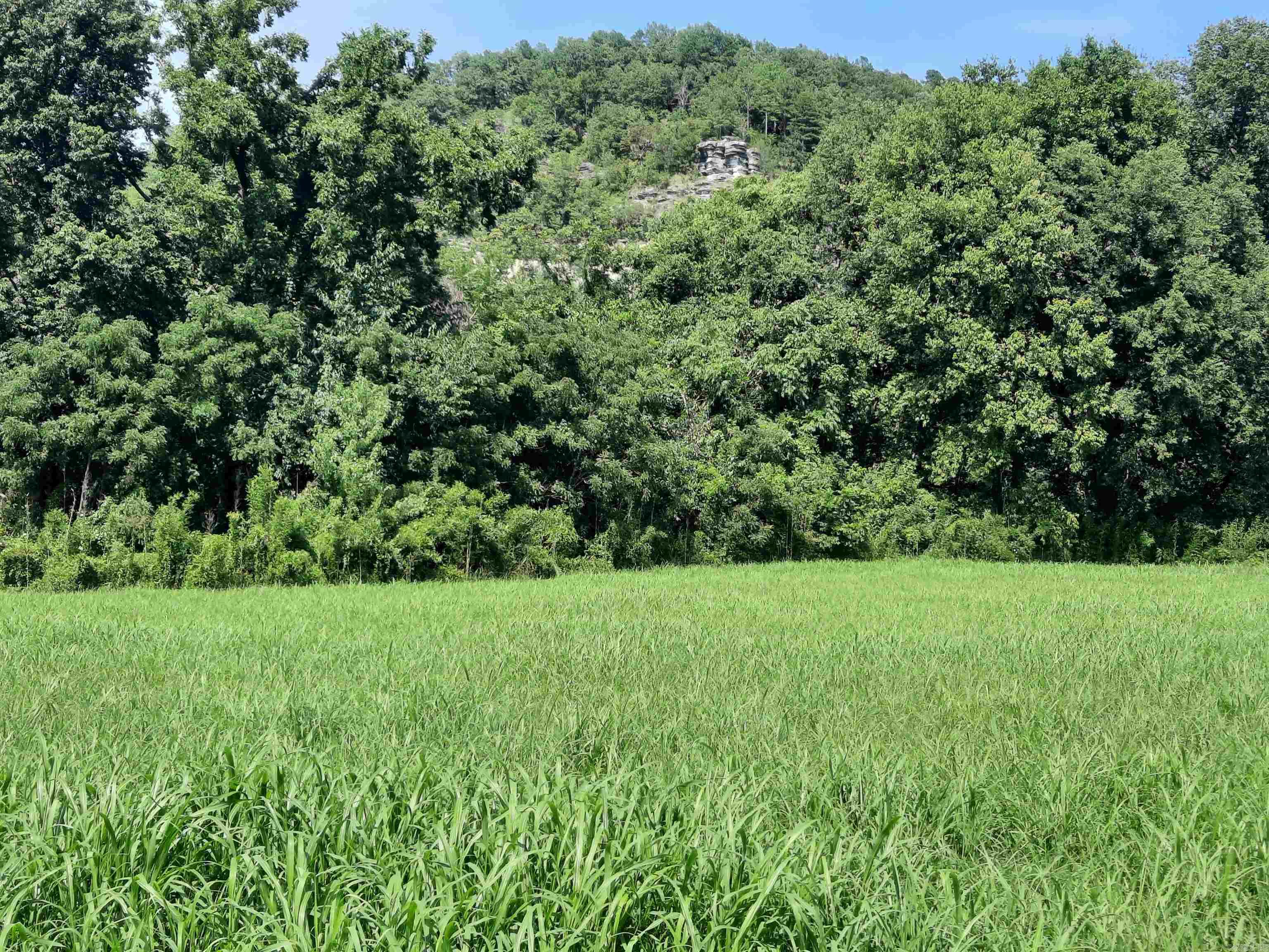 0000  Jellon  Mountain View, AR