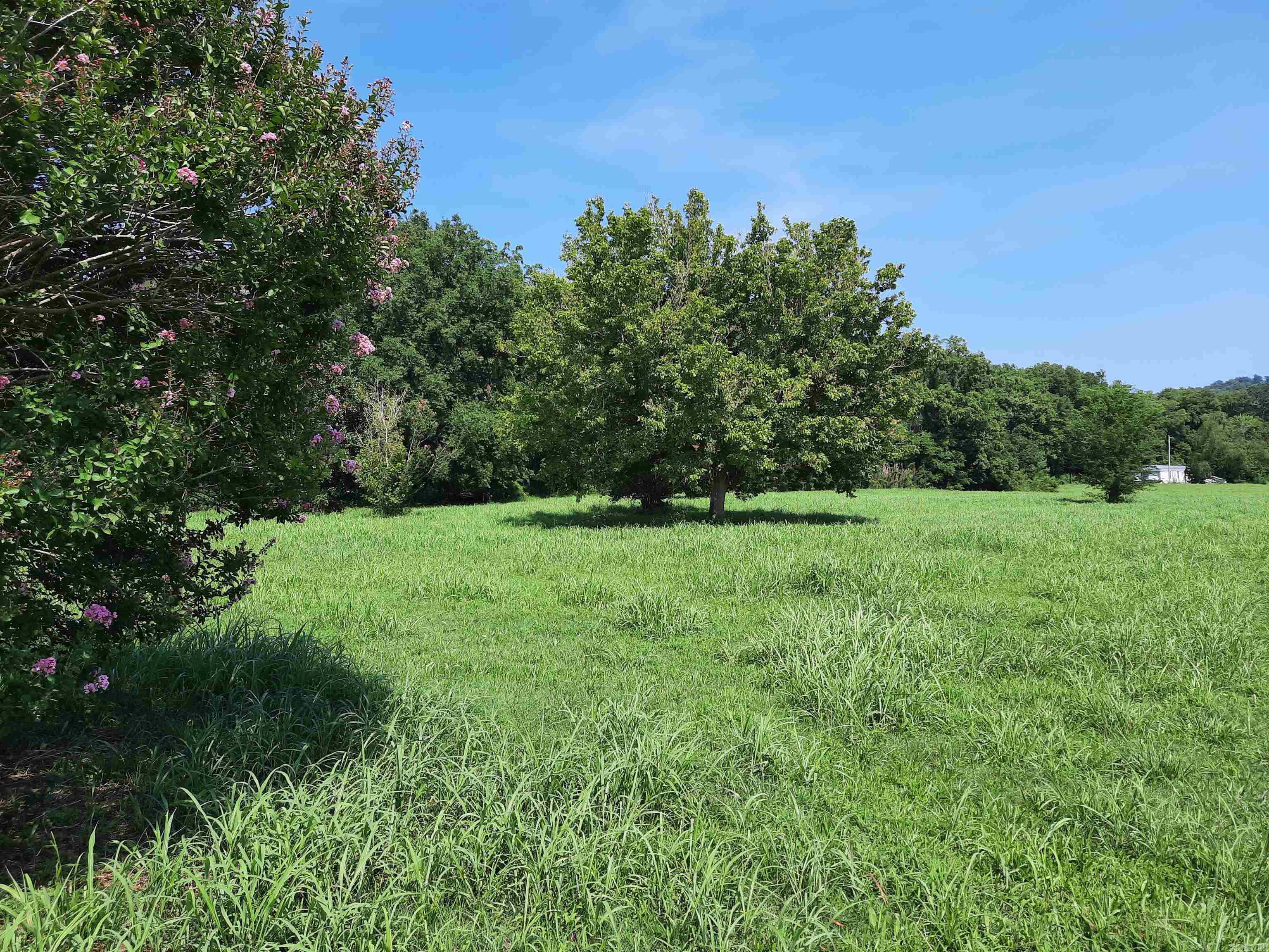 002 Jellon  Mountain View, AR