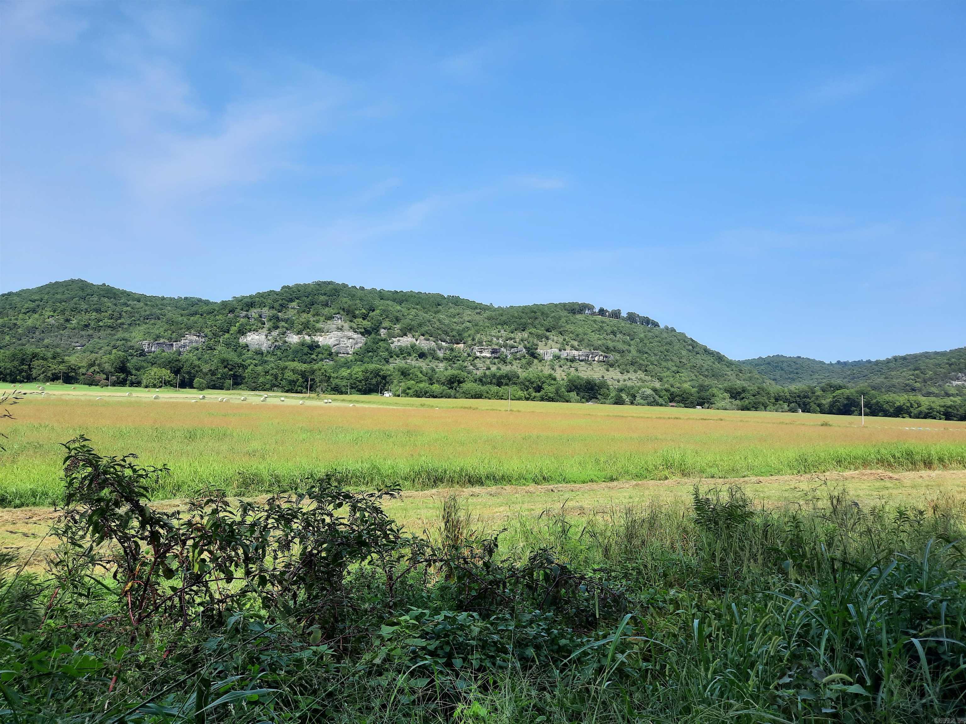 002 Jellon  Mountain View, AR