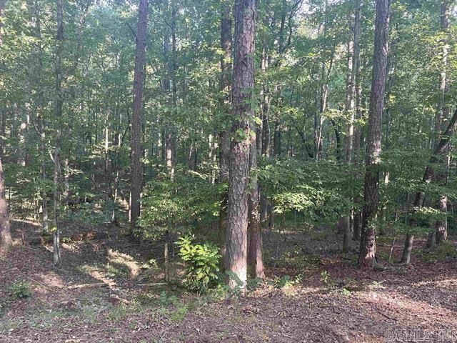Lot 29  Carballo  Hot Springs Village, AR