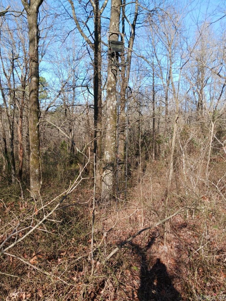 000  Jeff Rd.  Prim, AR