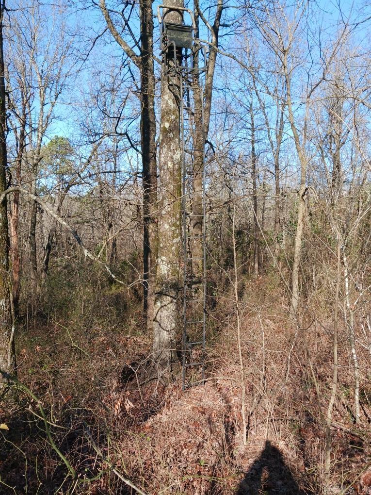 000  Jeff Rd.  Prim, AR