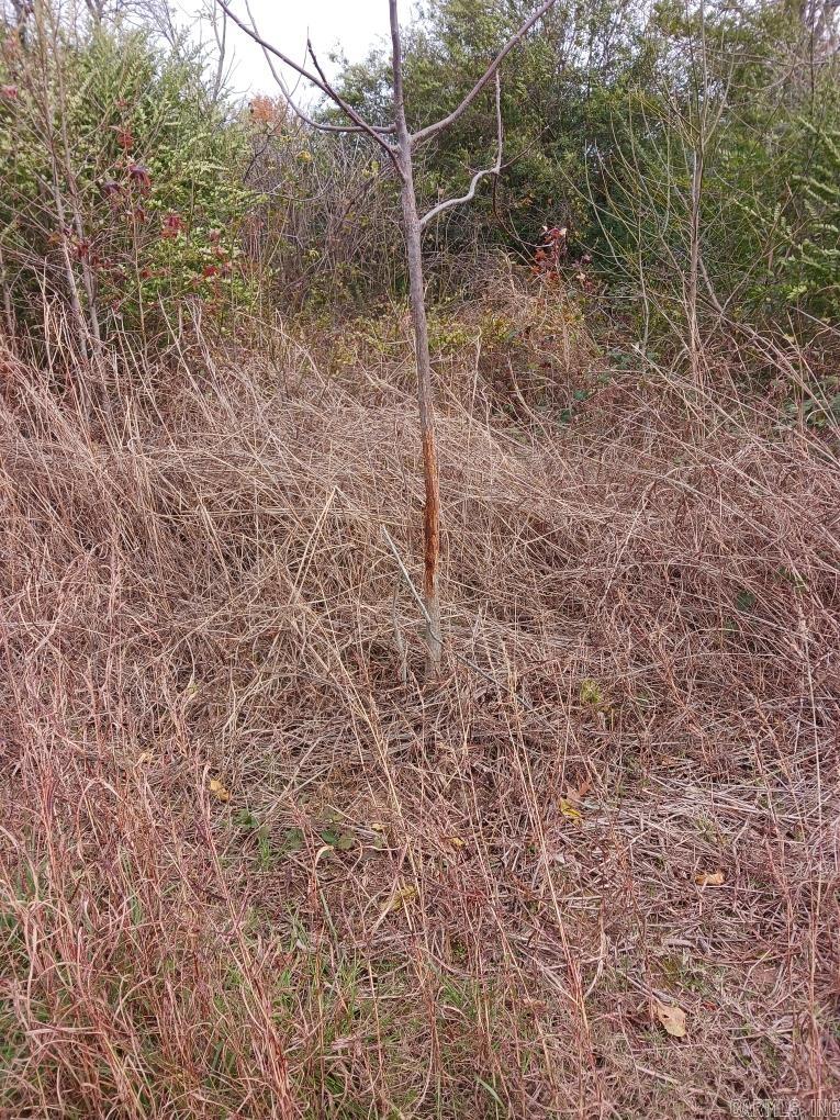000  Jeff Rd.  Prim, AR