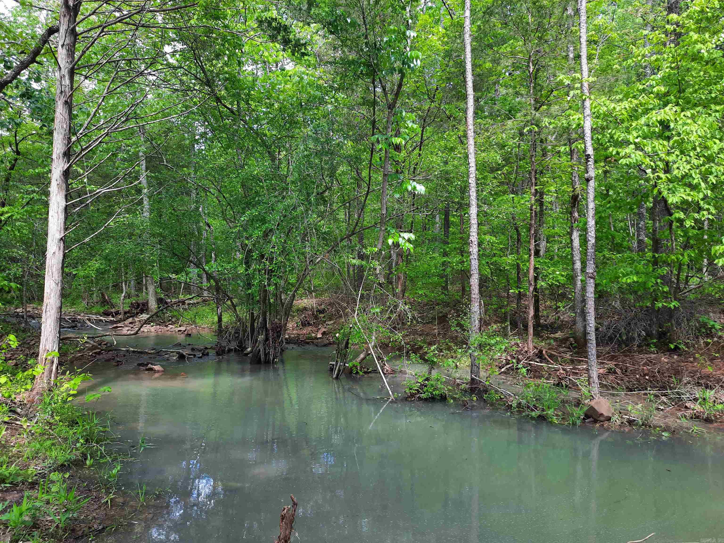 000  Benson Road  Mountain View, AR