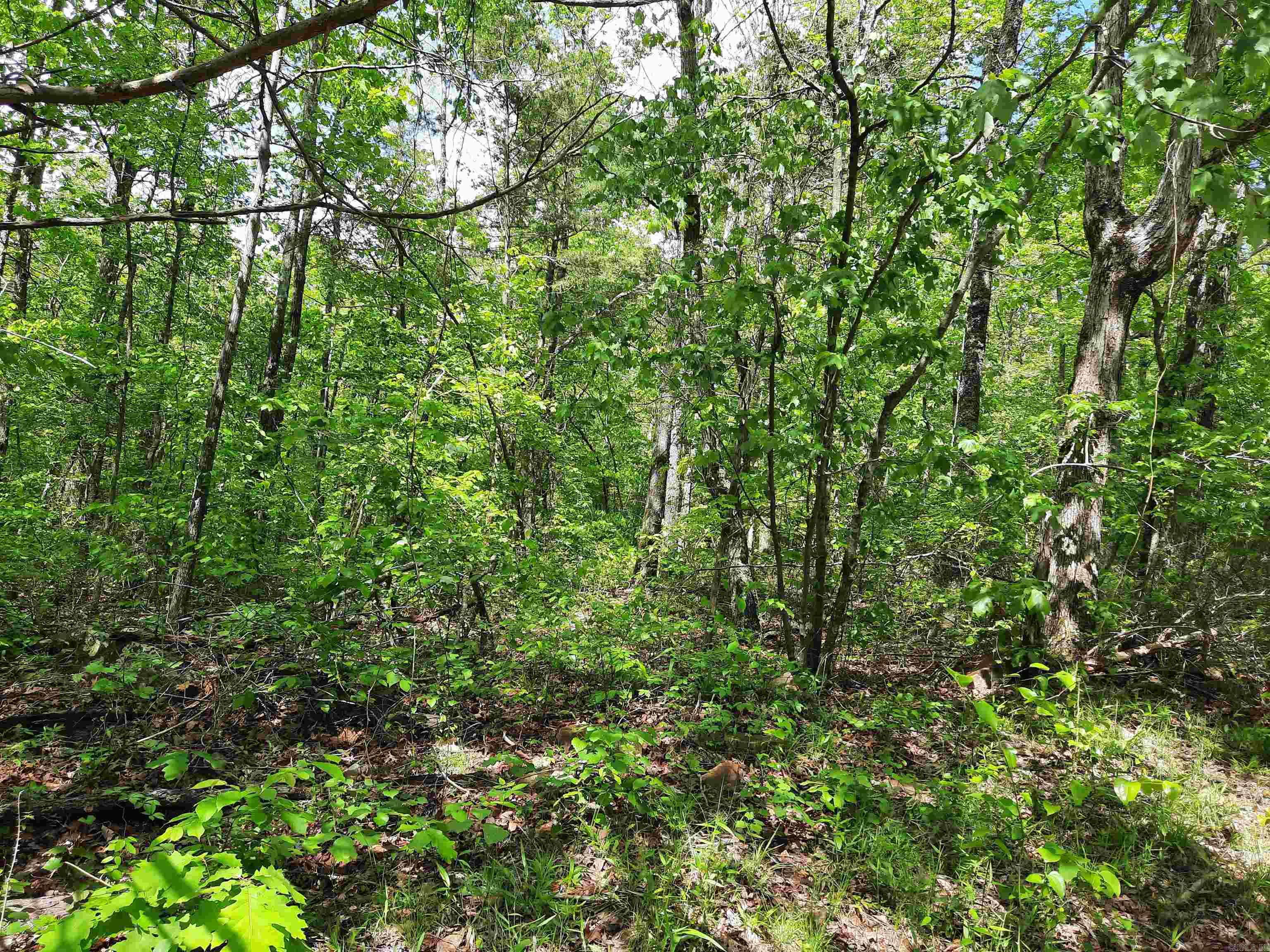 000  Benson Road  Mountain View, AR