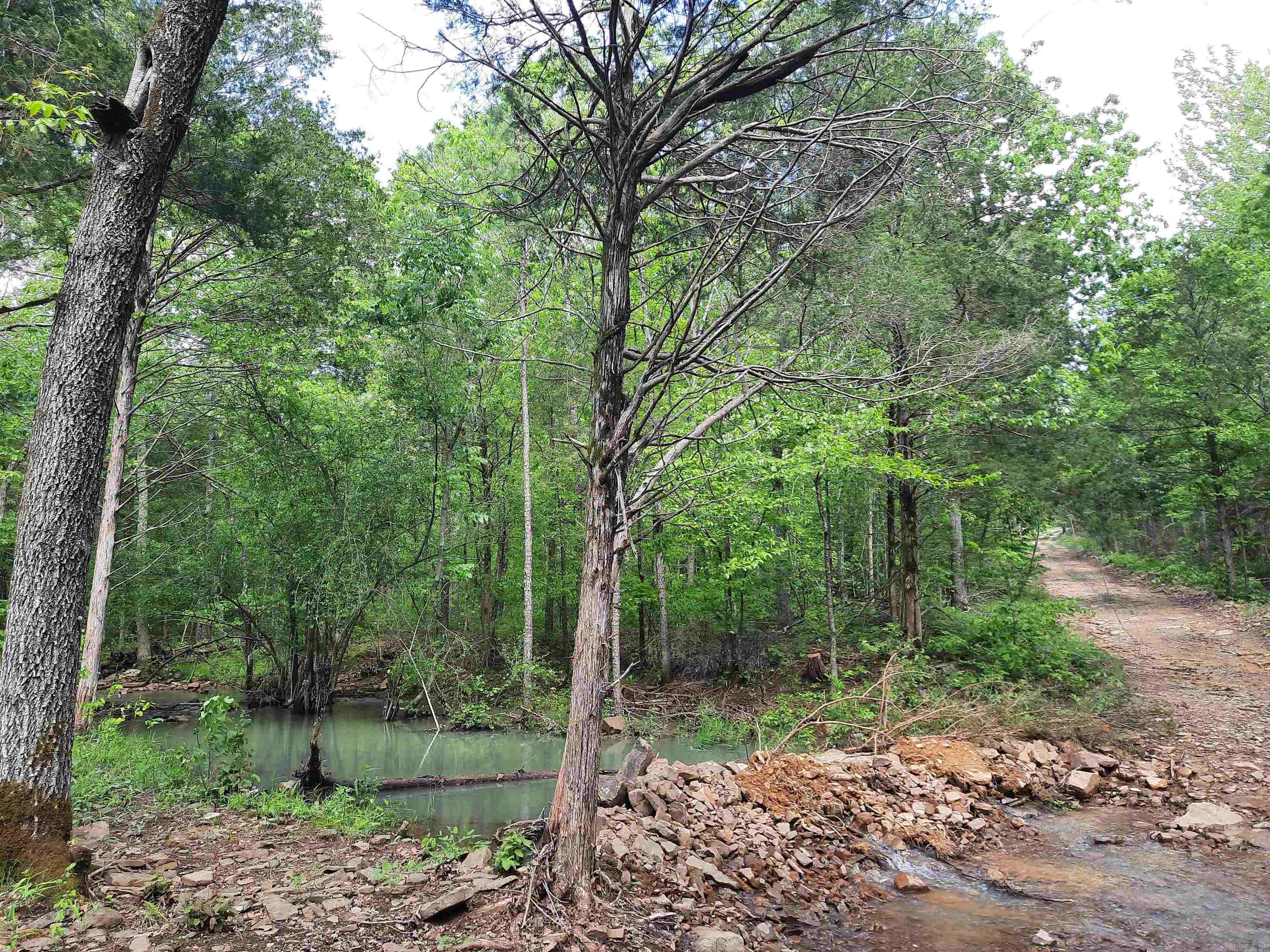 000  Benson Road  Mountain View, AR