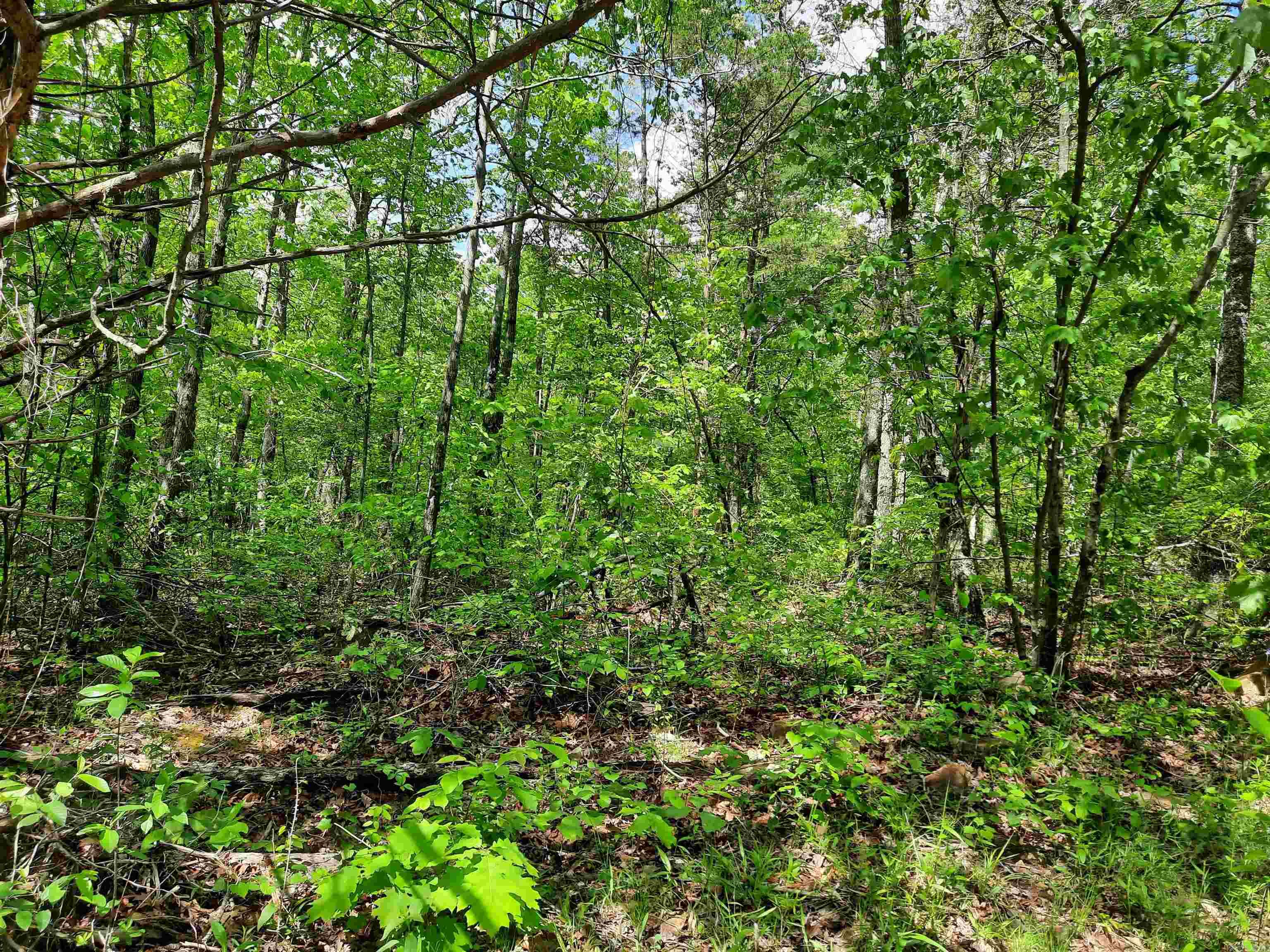 000  Benson Road  Mountain View, AR