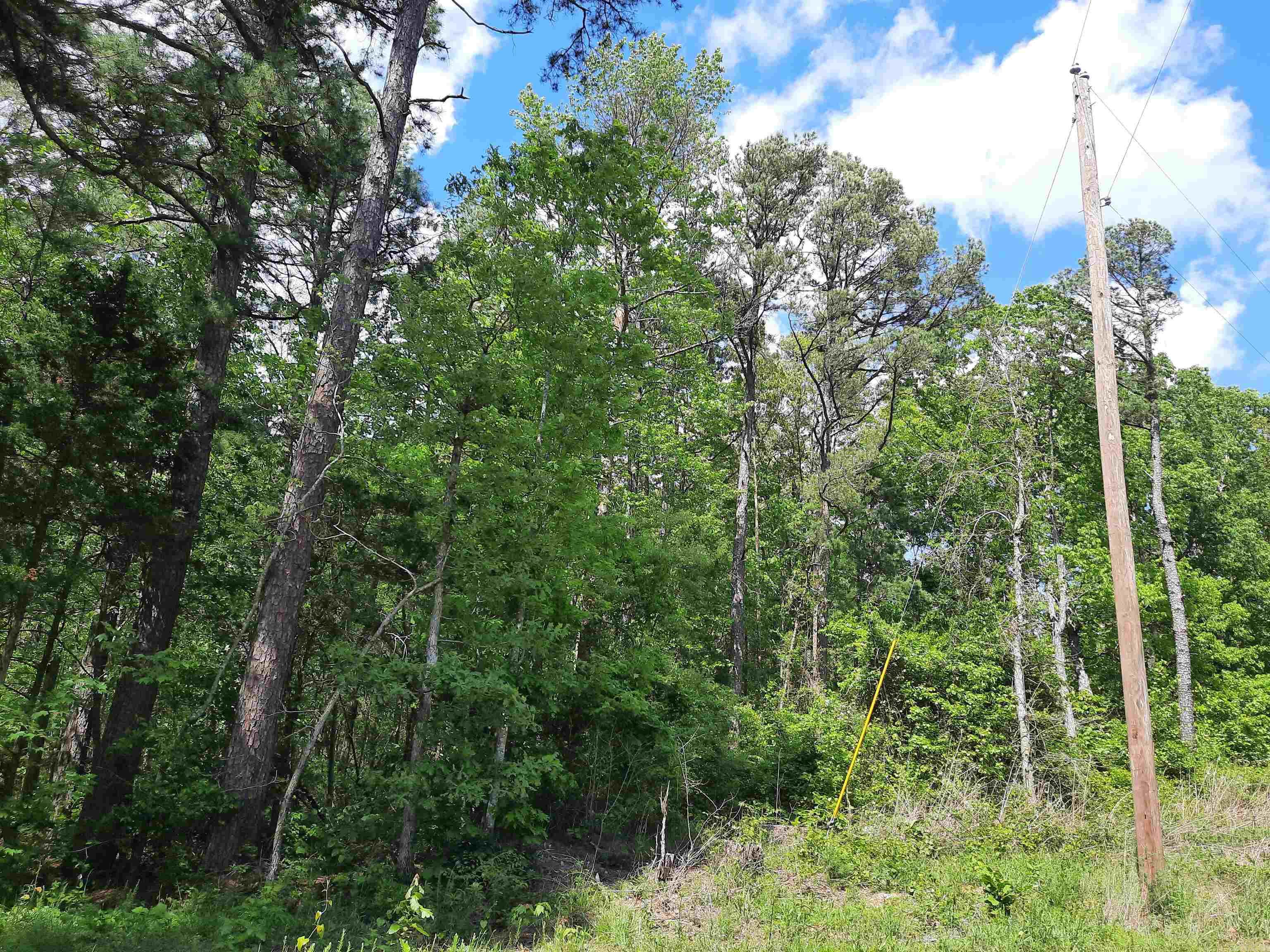 000  Benson Road  Mountain View, AR