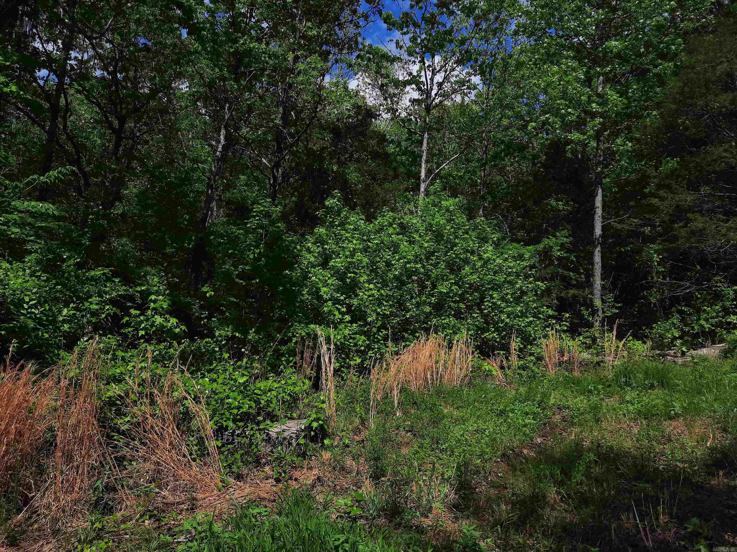 000  Benson Road  Mountain View, AR