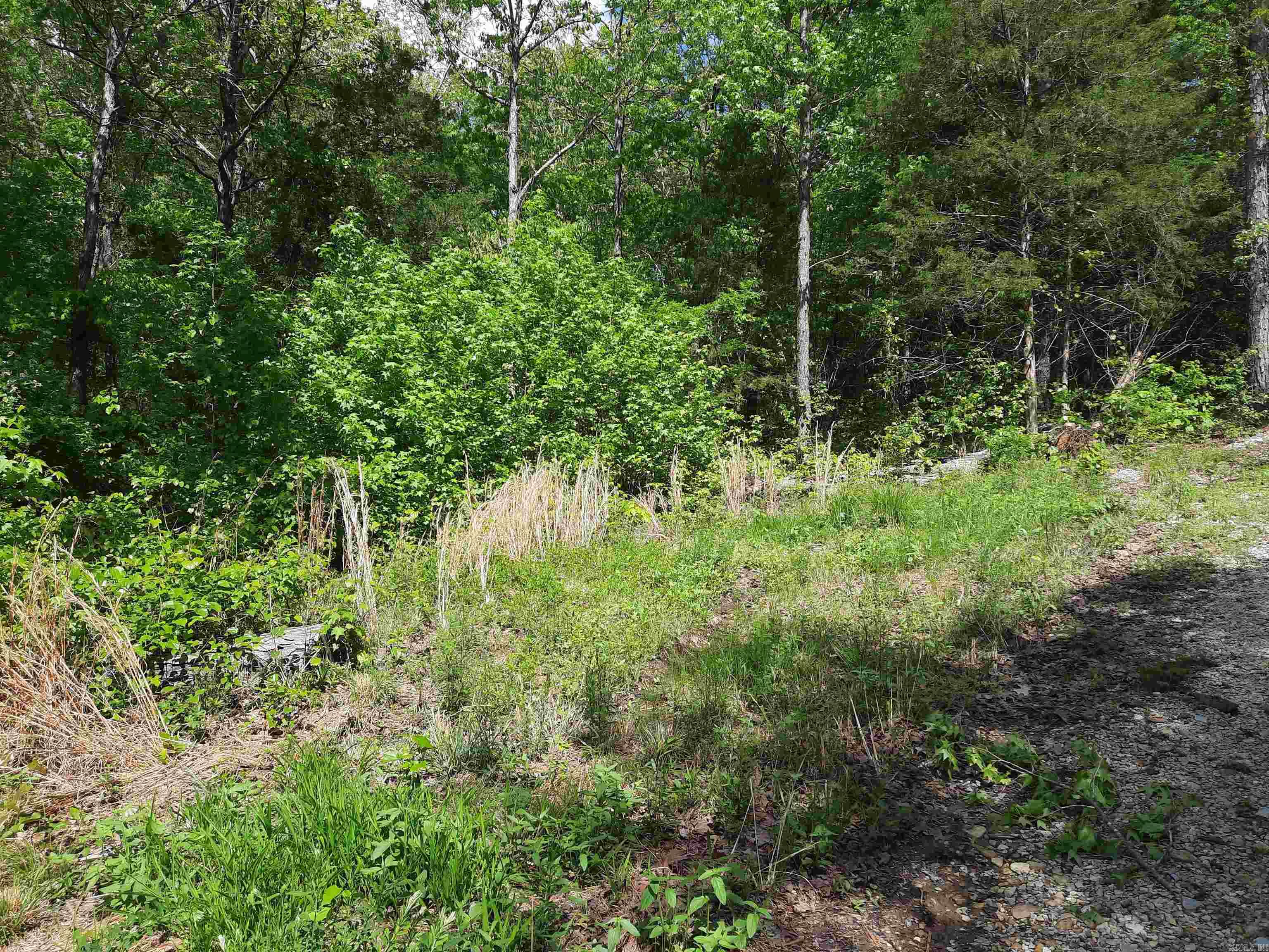 000  Benson Road  Mountain View, AR