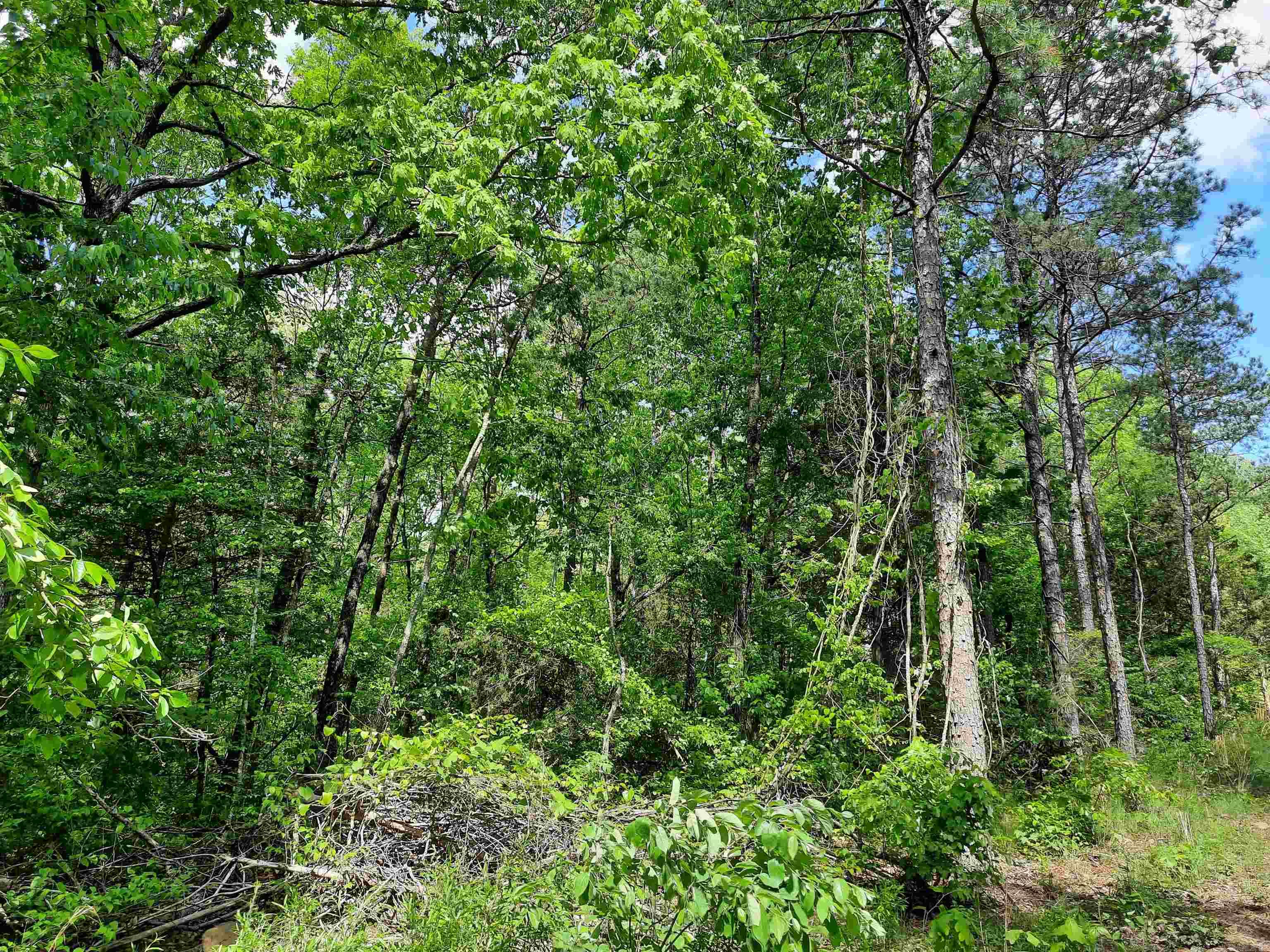 000  Benson Road  Mountain View, AR
