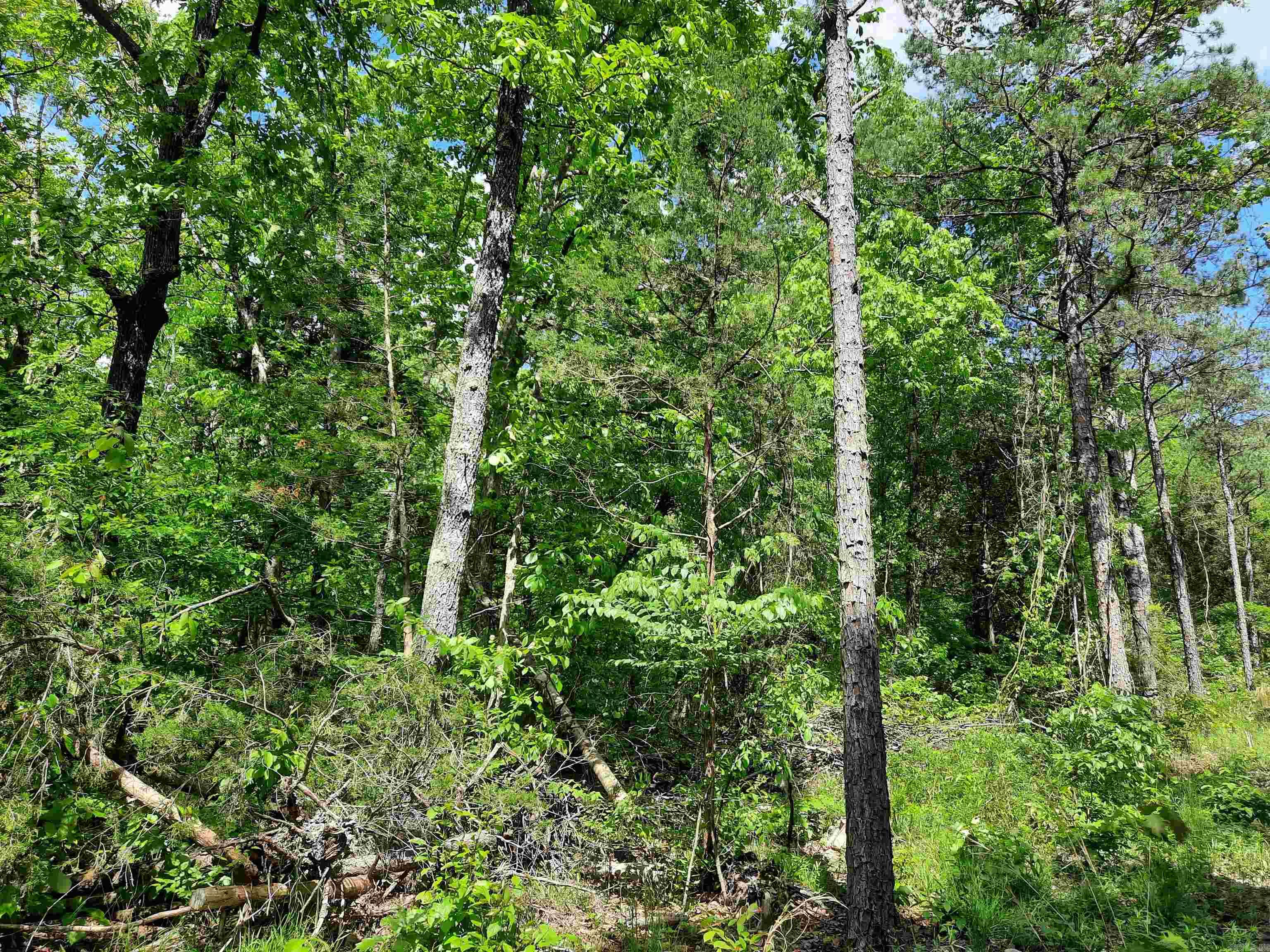 000  Benson Road  Mountain View, AR