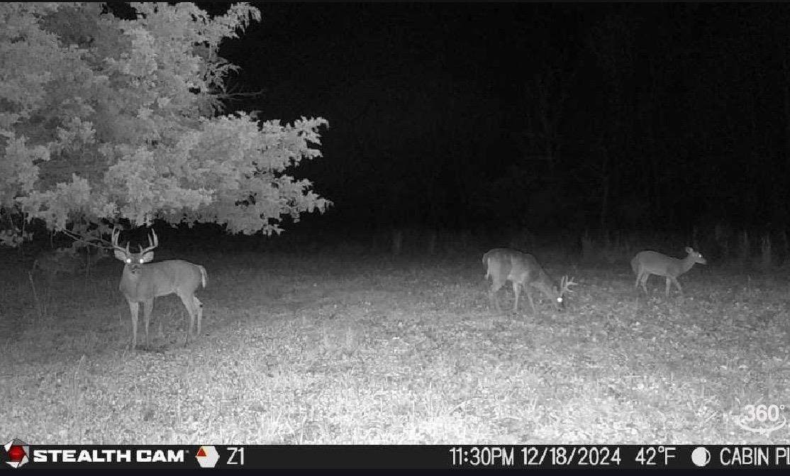 550  Baker Cemetery RD  Evening Shade, AR