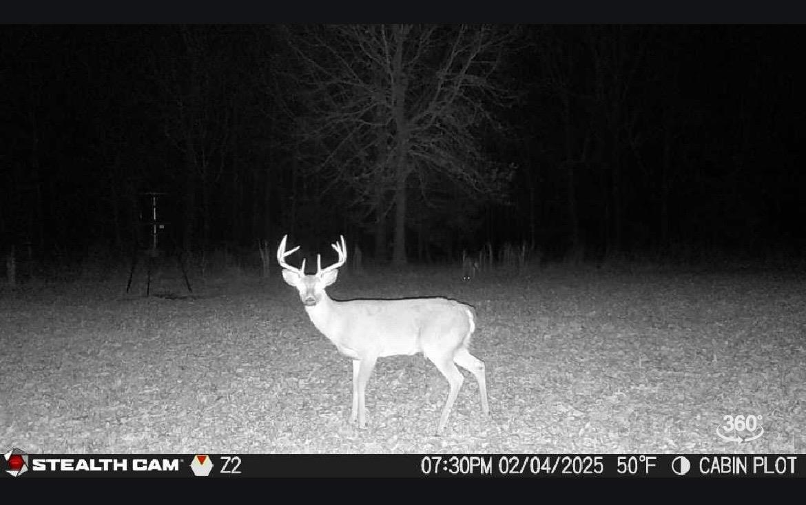 550  Baker Cemetery RD  Evening Shade, AR