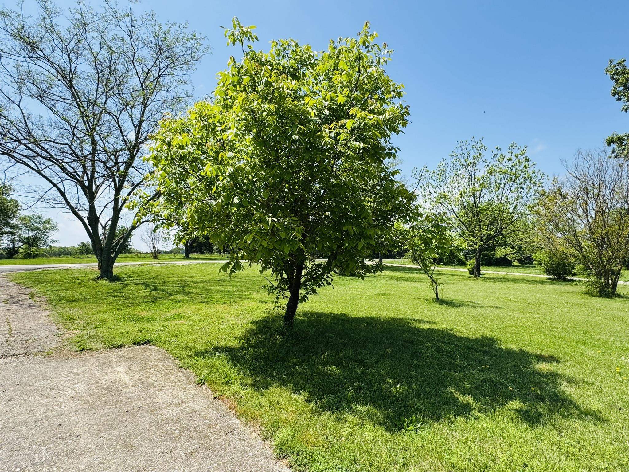 13776 E 56 HWY Ash Flat, AR 72513