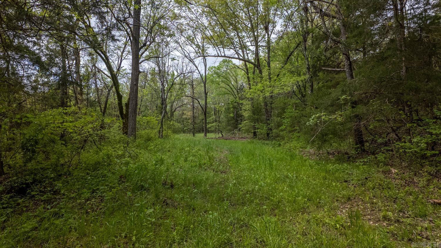 9506  County Road 9780  Koshkonong, MO