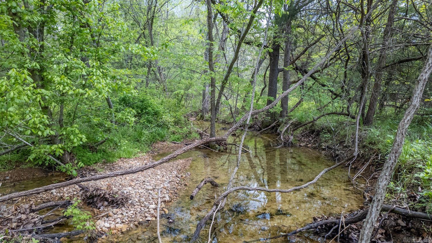 9506  County Road 9780  Koshkonong, MO