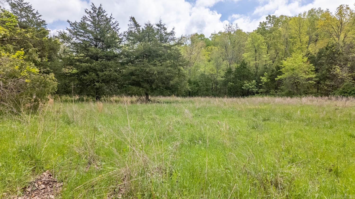 9506  County Road 9780  Koshkonong, MO
