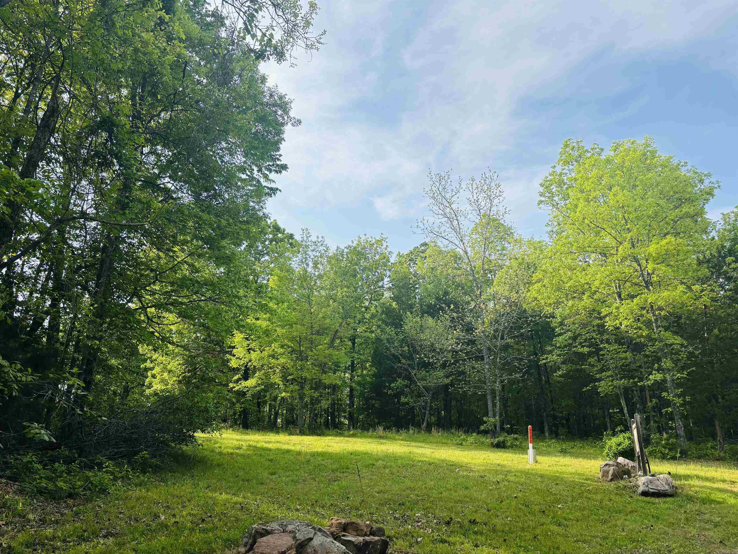 108  Georgia  Mountain View, AR