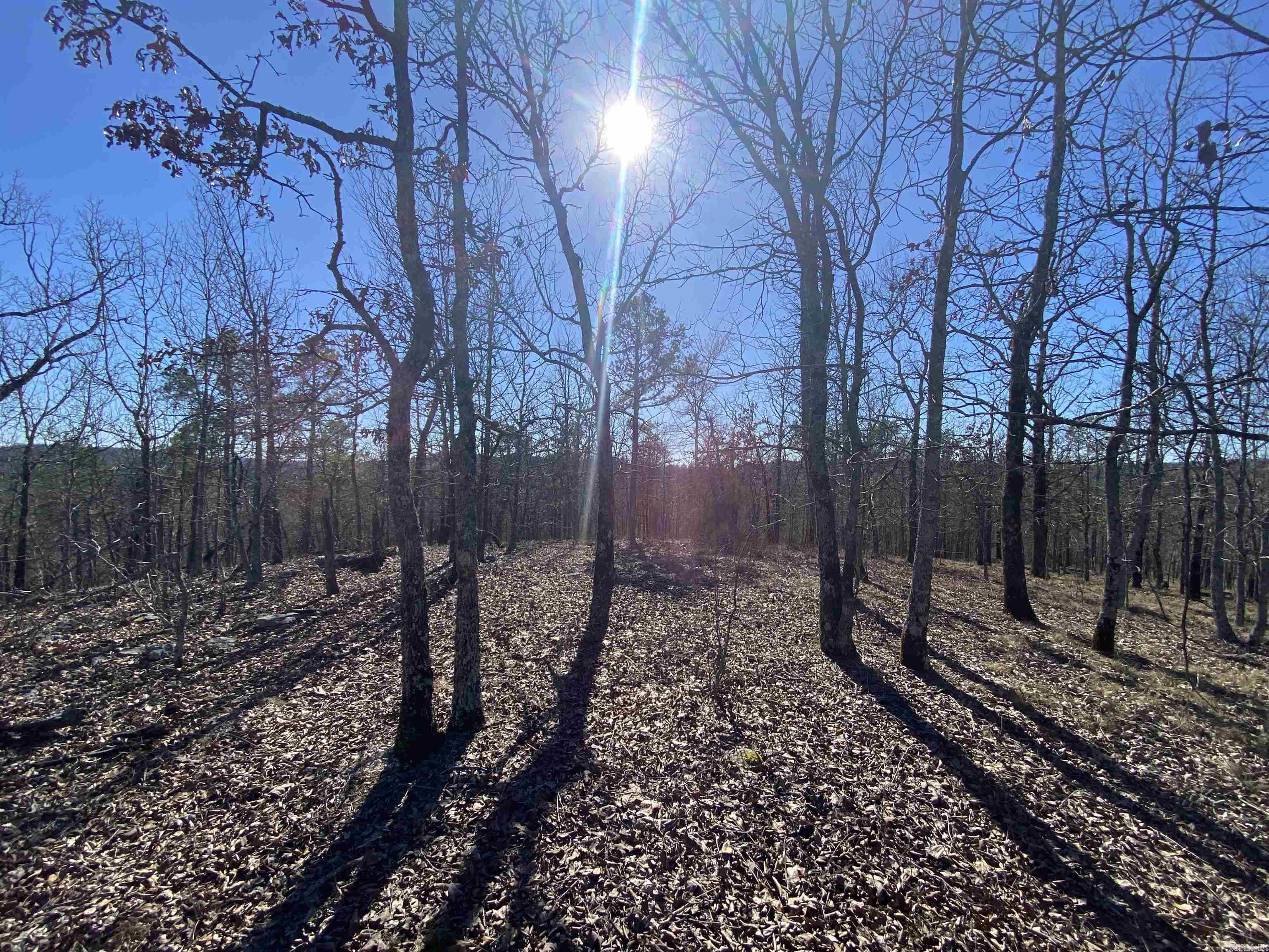RPID 115120  Cedar Creek  Hot Springs, AR