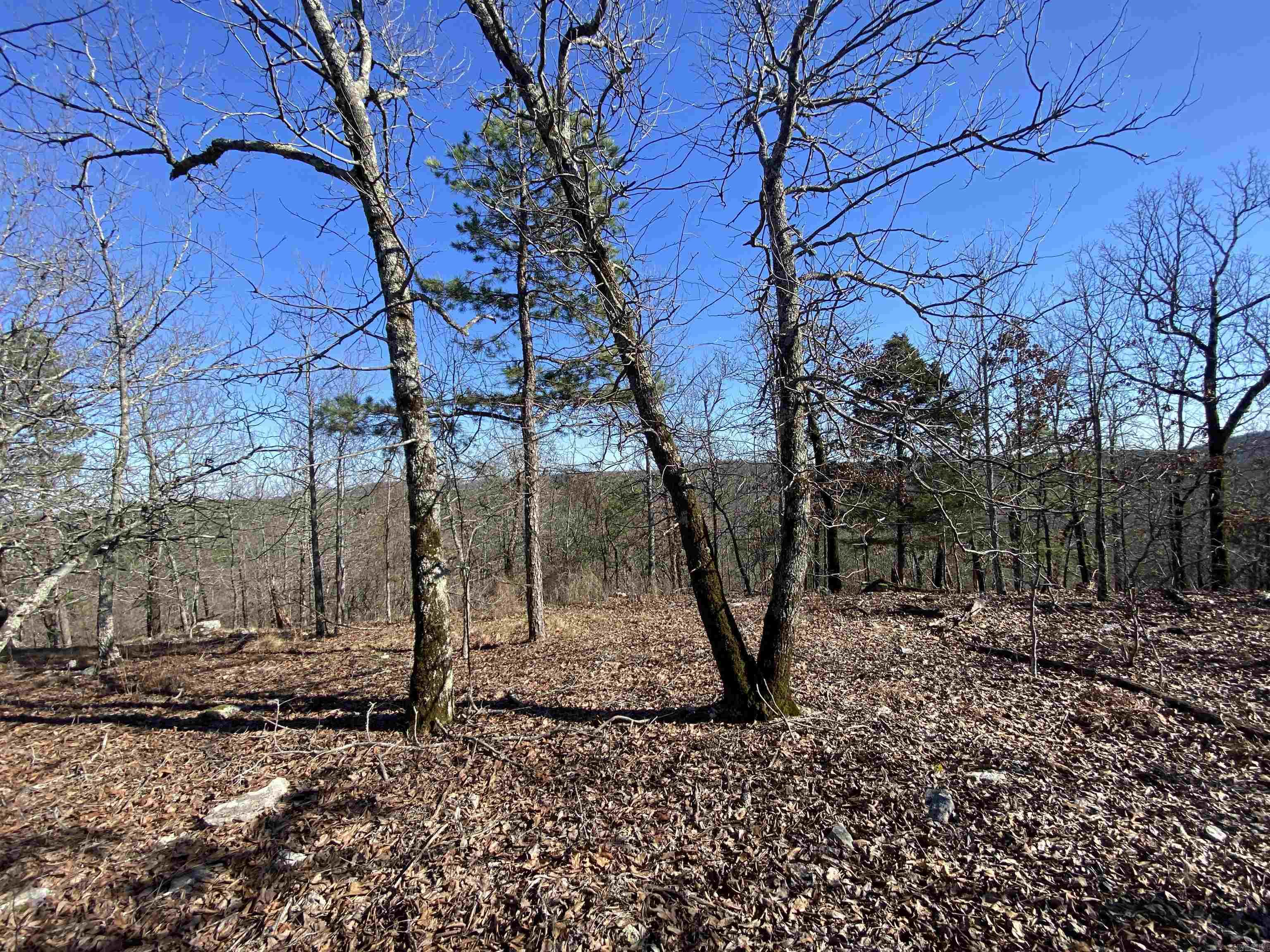 RPID 115120  Cedar Creek  Hot Springs, AR