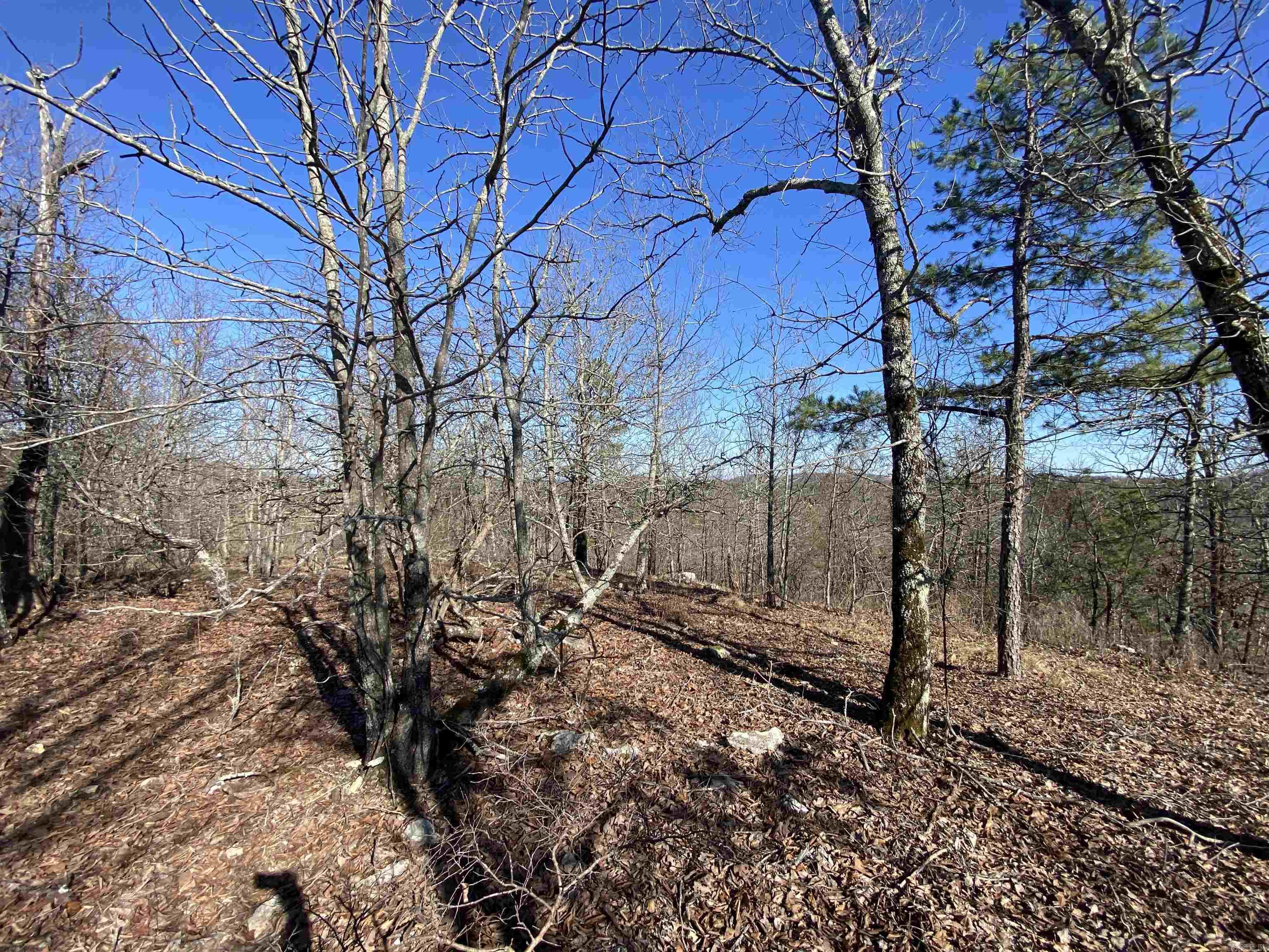 RPID 115120  Cedar Creek  Hot Springs, AR