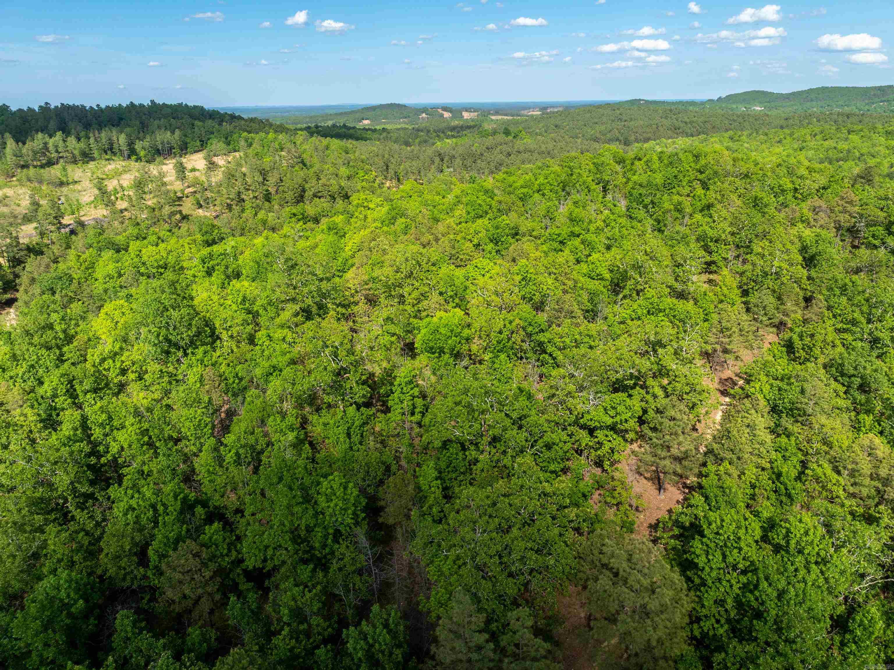 RPID 115120  Cedar Creek  Hot Springs, AR
