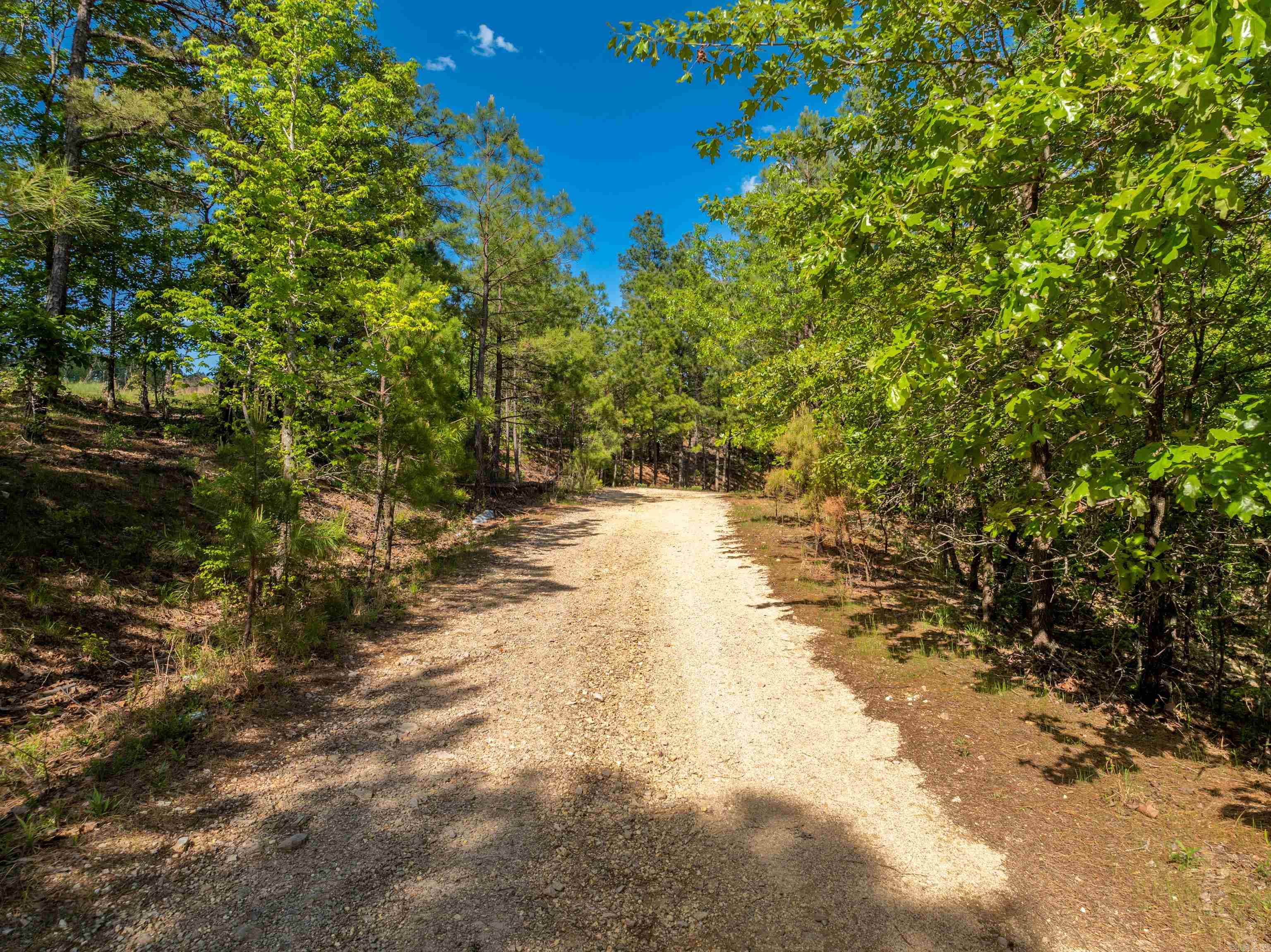 RPID 115120  Cedar Creek  Hot Springs, AR