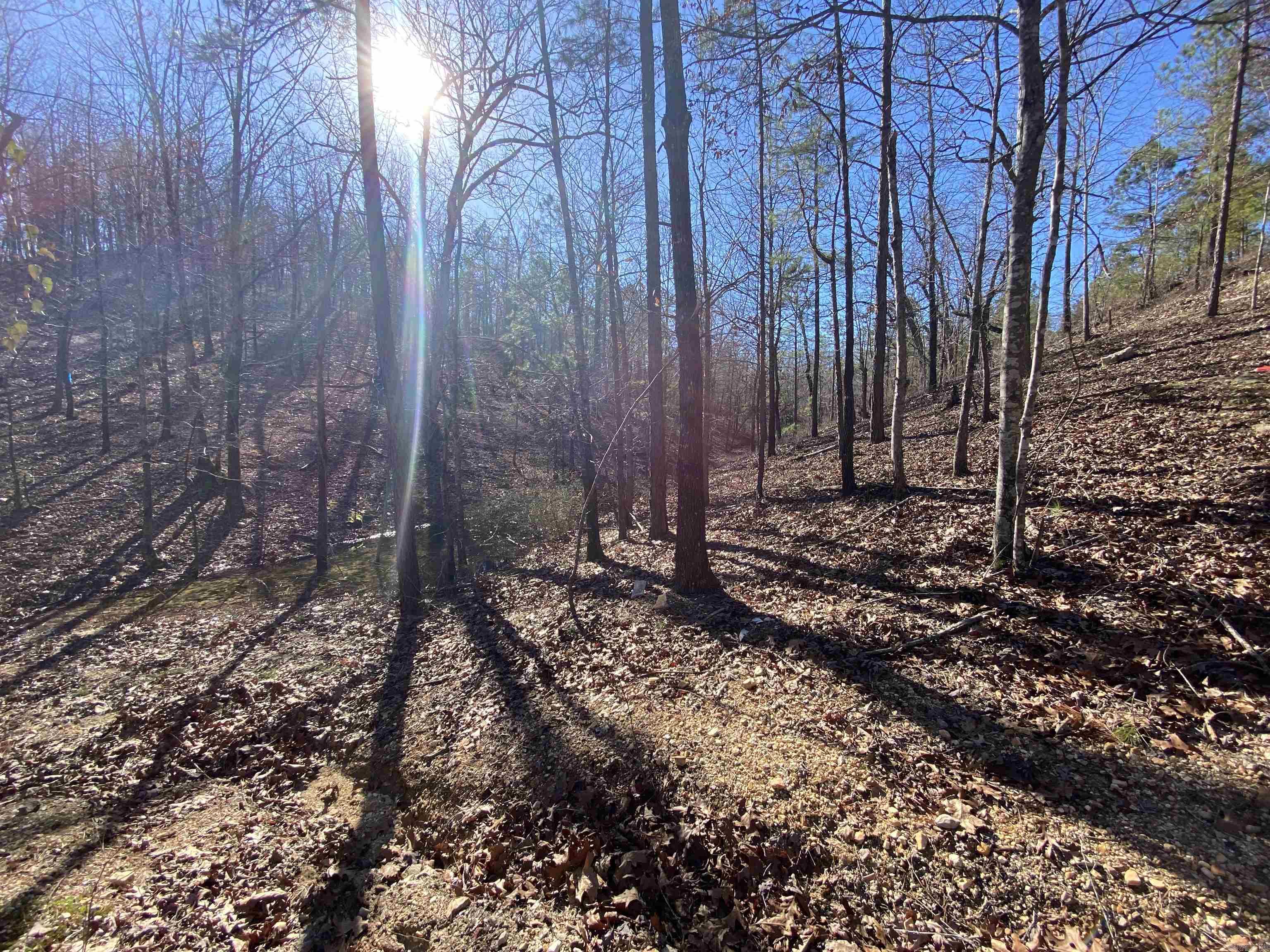 RPID 115120  Cedar Creek  Hot Springs, AR