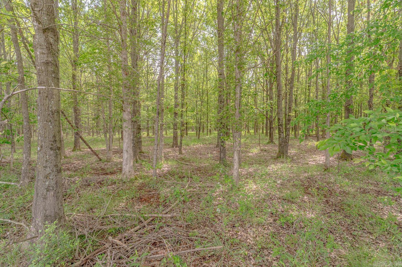 000  Lawrence Road 309  Hoxie, AR