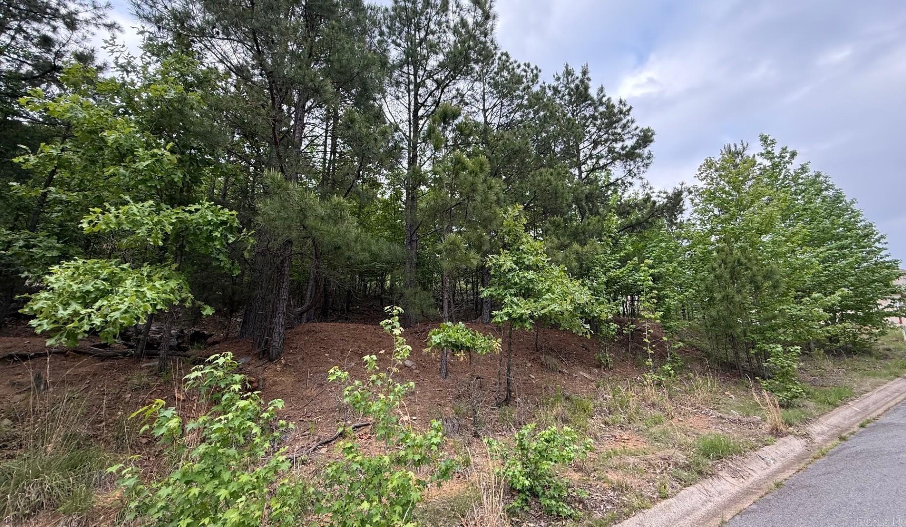 150  Oneida  Maumelle, AR