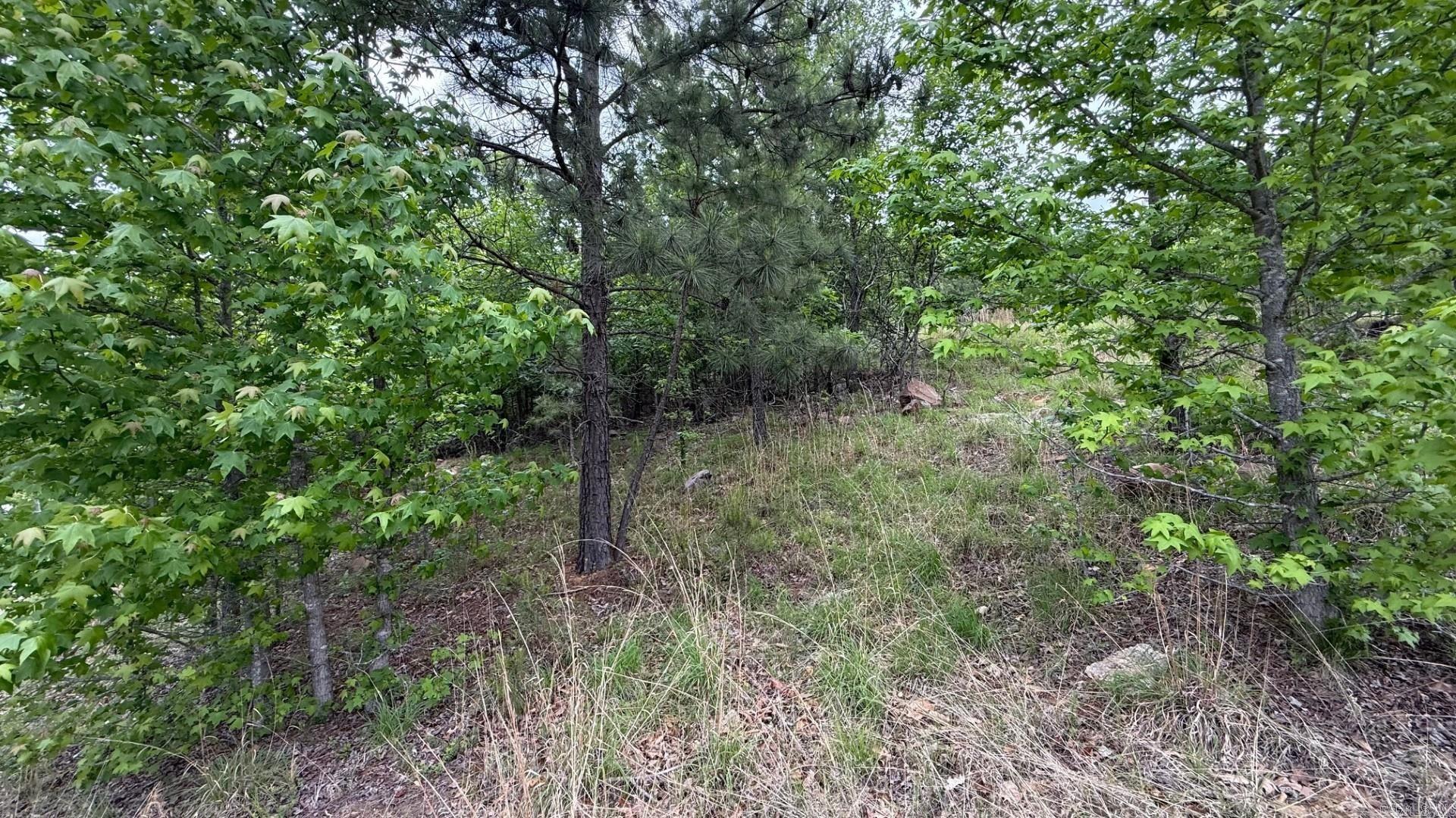 150  Oneida  Maumelle, AR