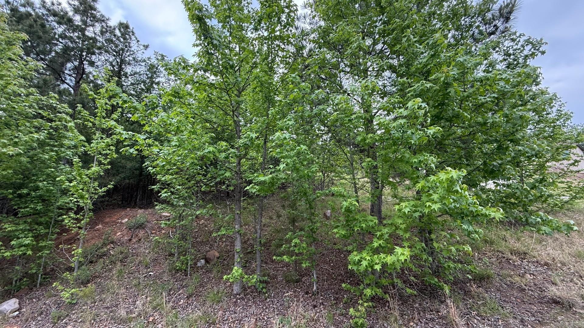 150  Oneida  Maumelle, AR
