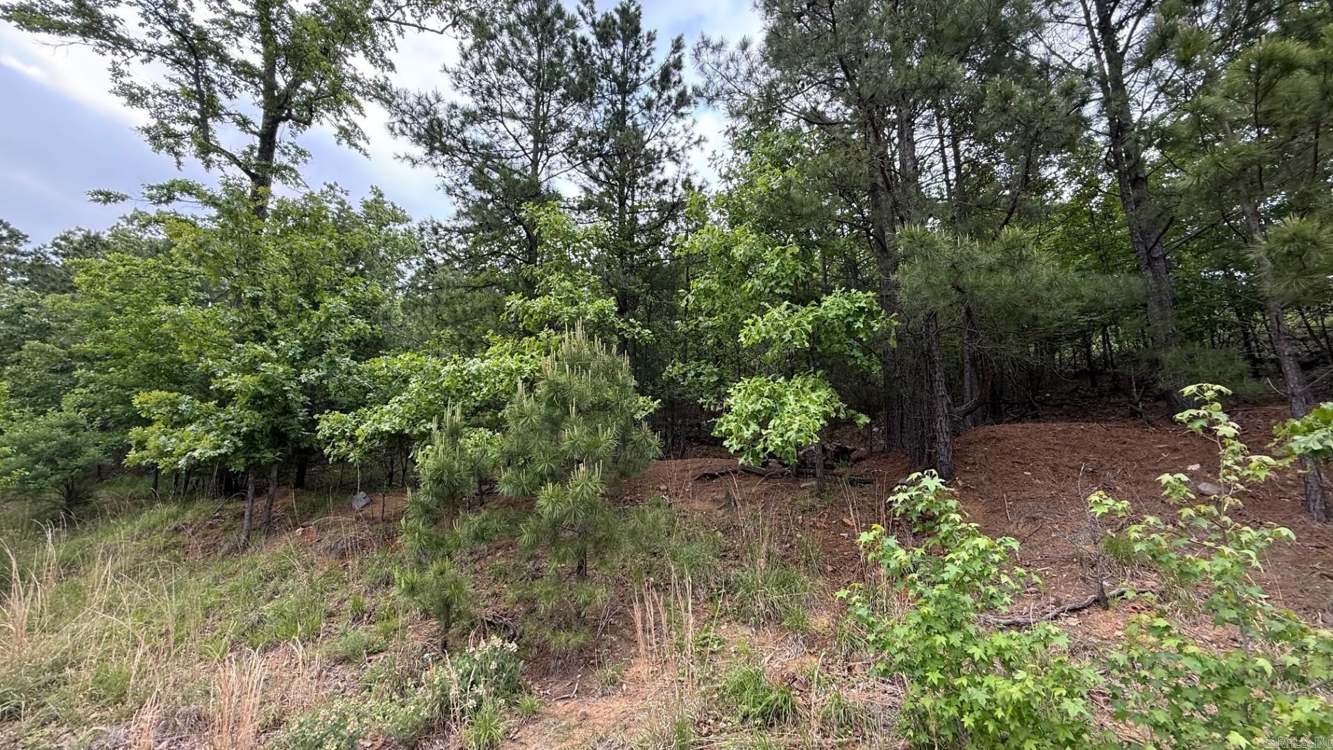 150  Oneida  Maumelle, AR