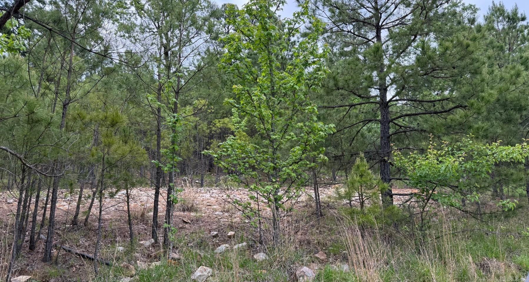 152  Oneida  Maumelle, AR