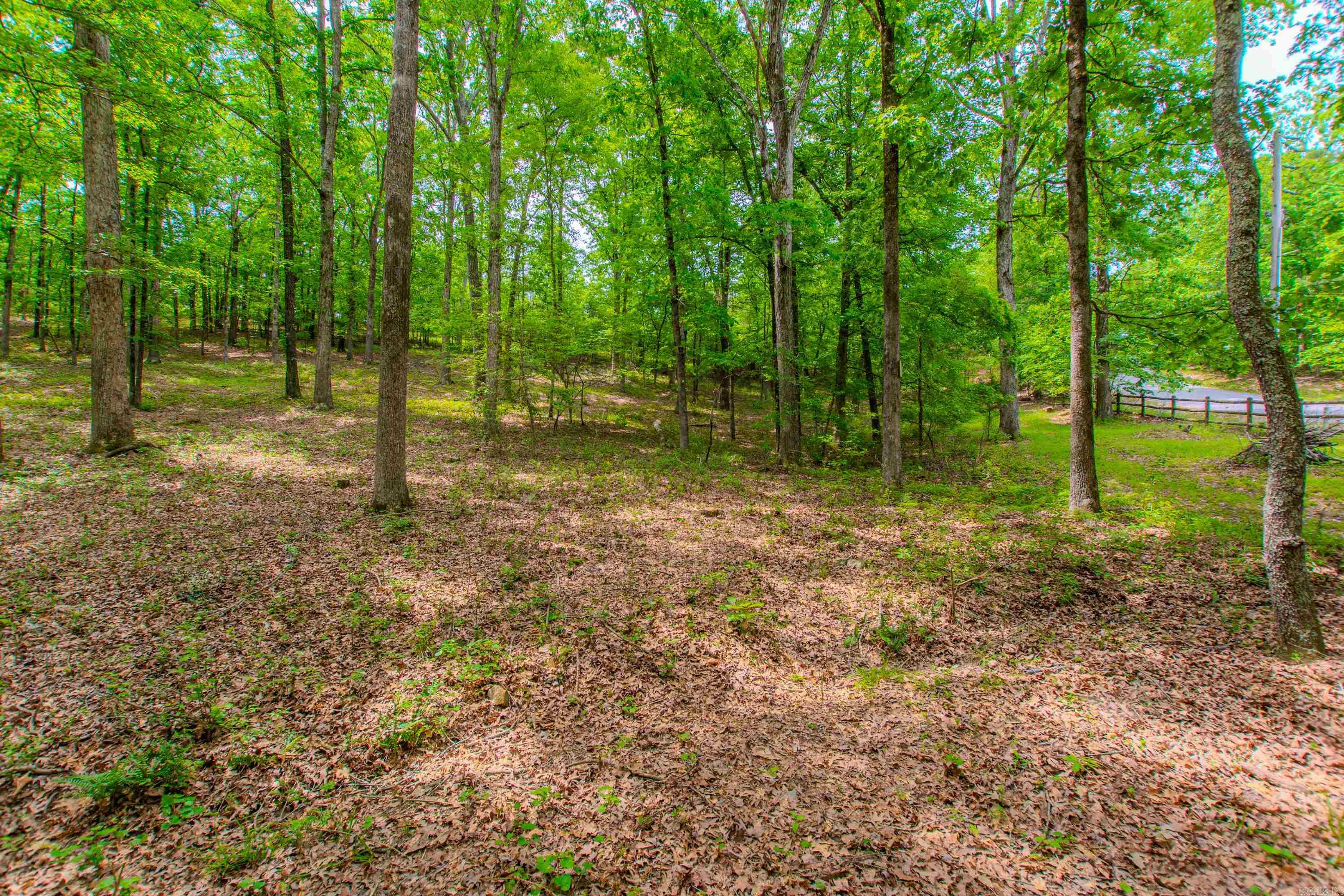 1601  Whispering Pine Road  Little Rock, AR