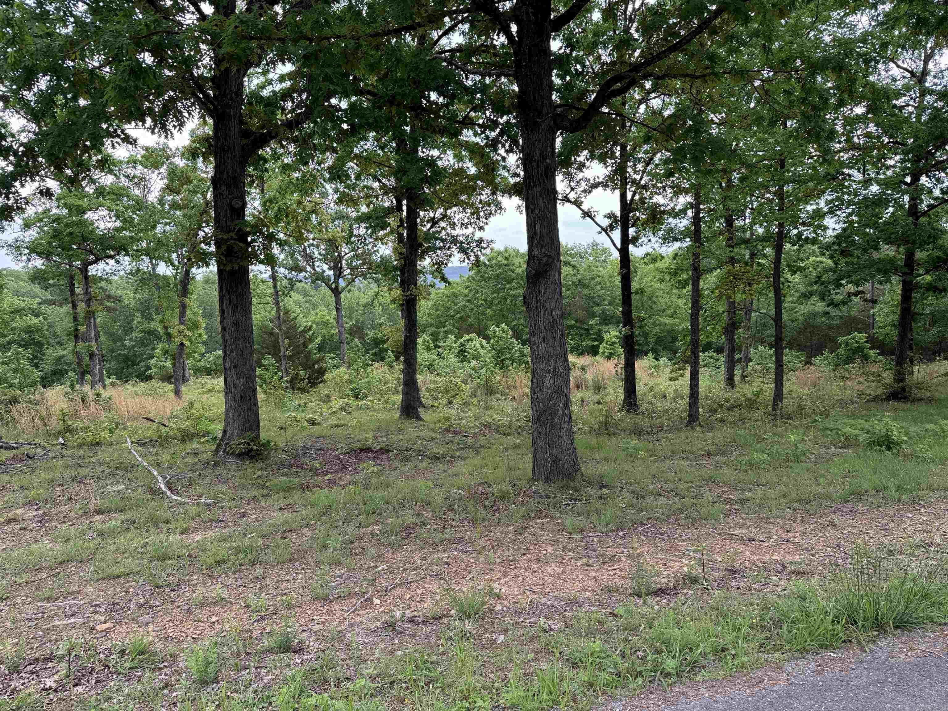 TRACT 1 Watersedge Drive Edgemont, AR 72044