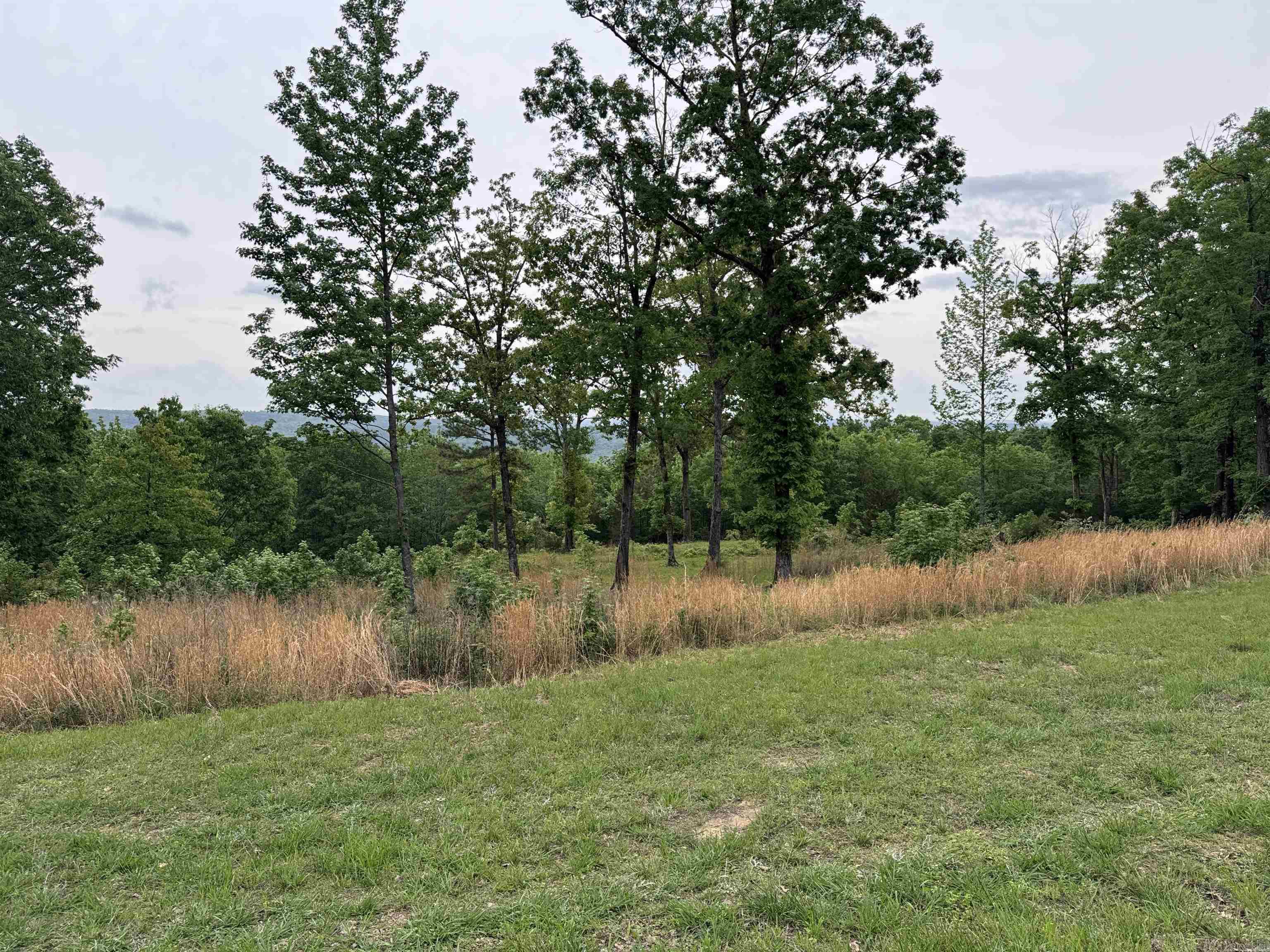 TRACT 1 Watersedge Drive Edgemont, AR 72044