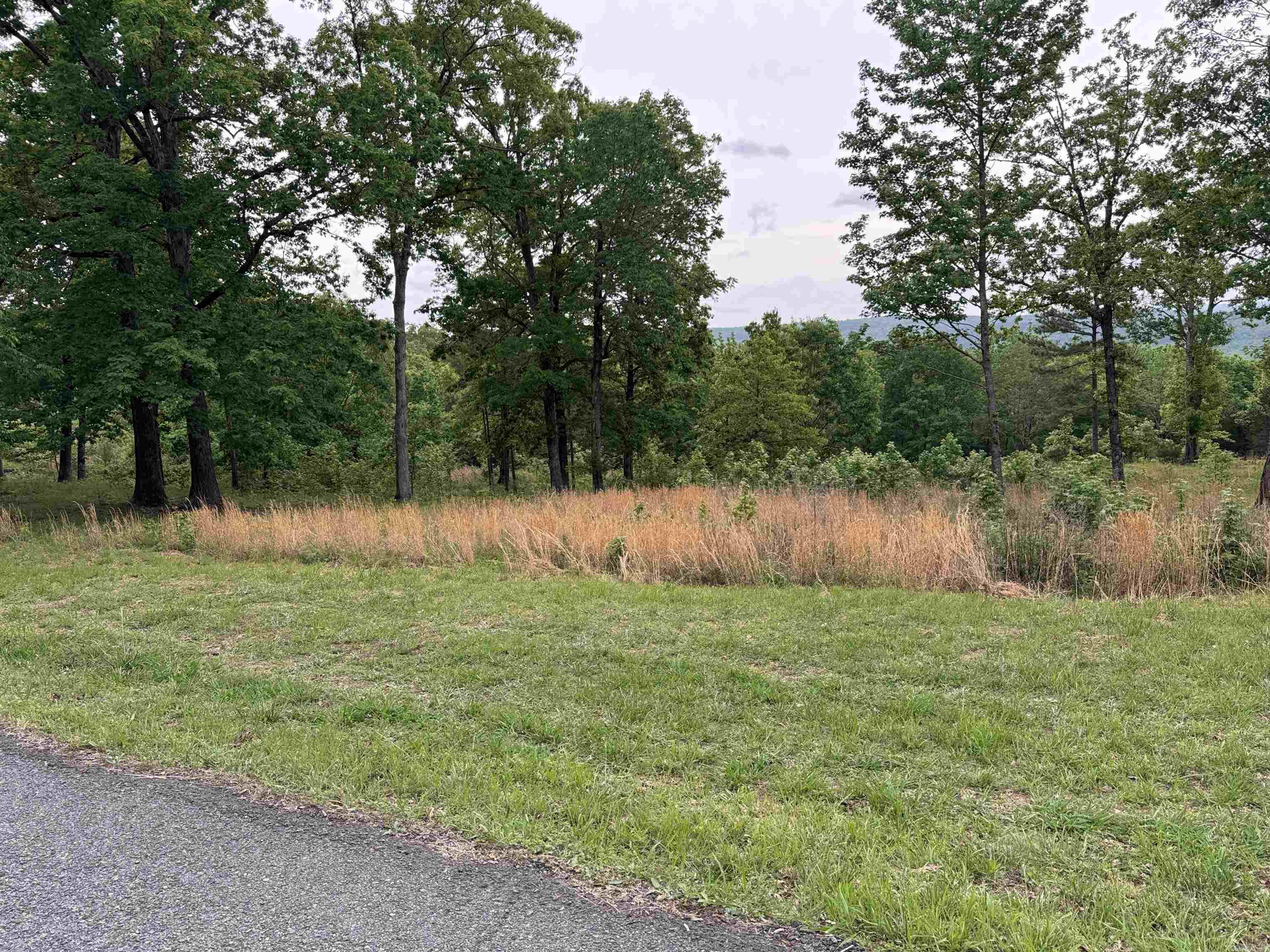 TRACT 1 Watersedge Drive Edgemont, AR 72044