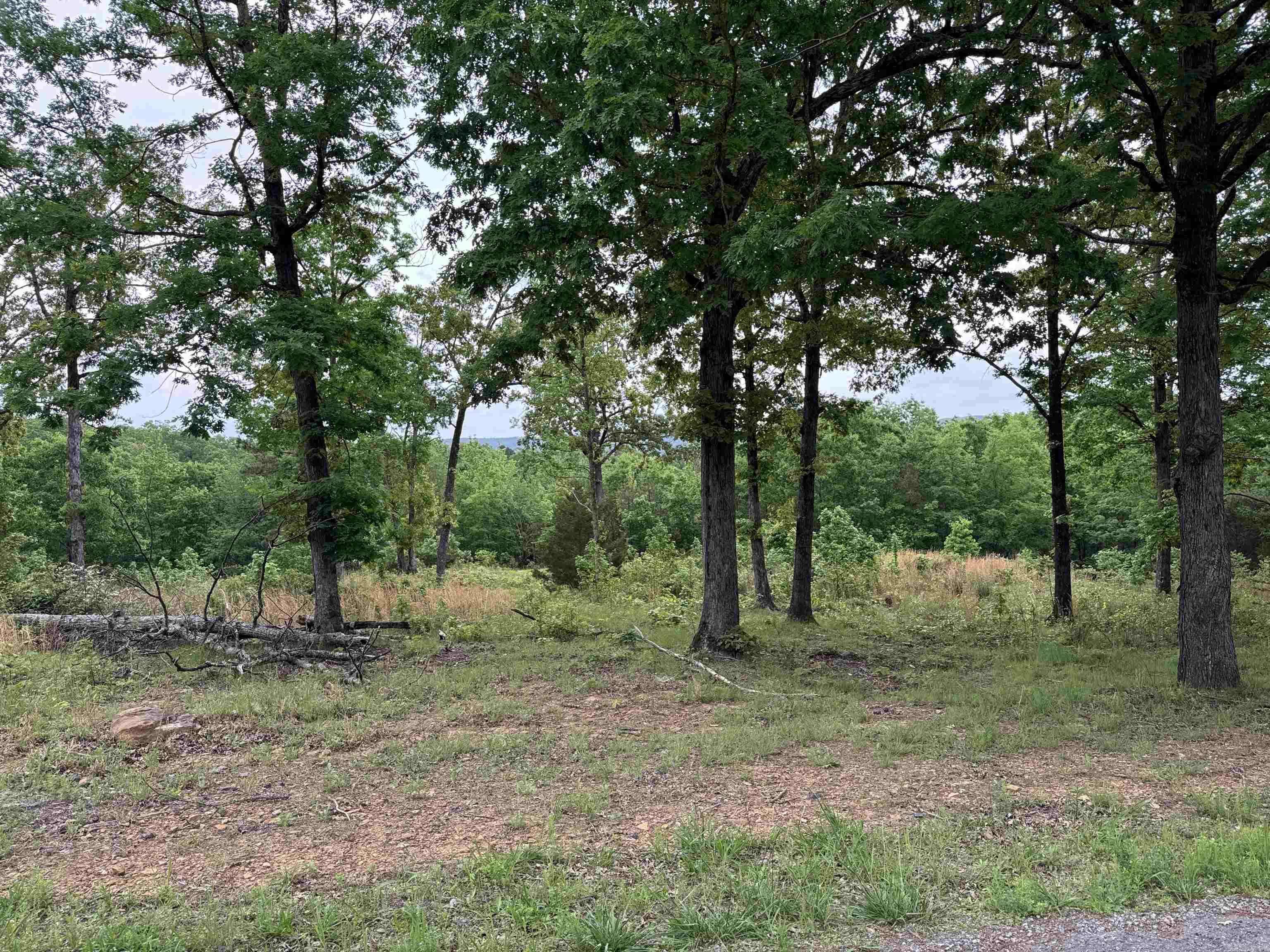 TRACT 1 Watersedge Drive Edgemont, AR 72044