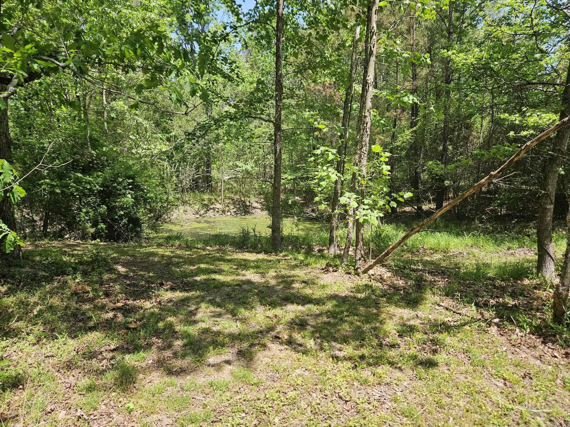 23888  N Reform Road  Paron, AR