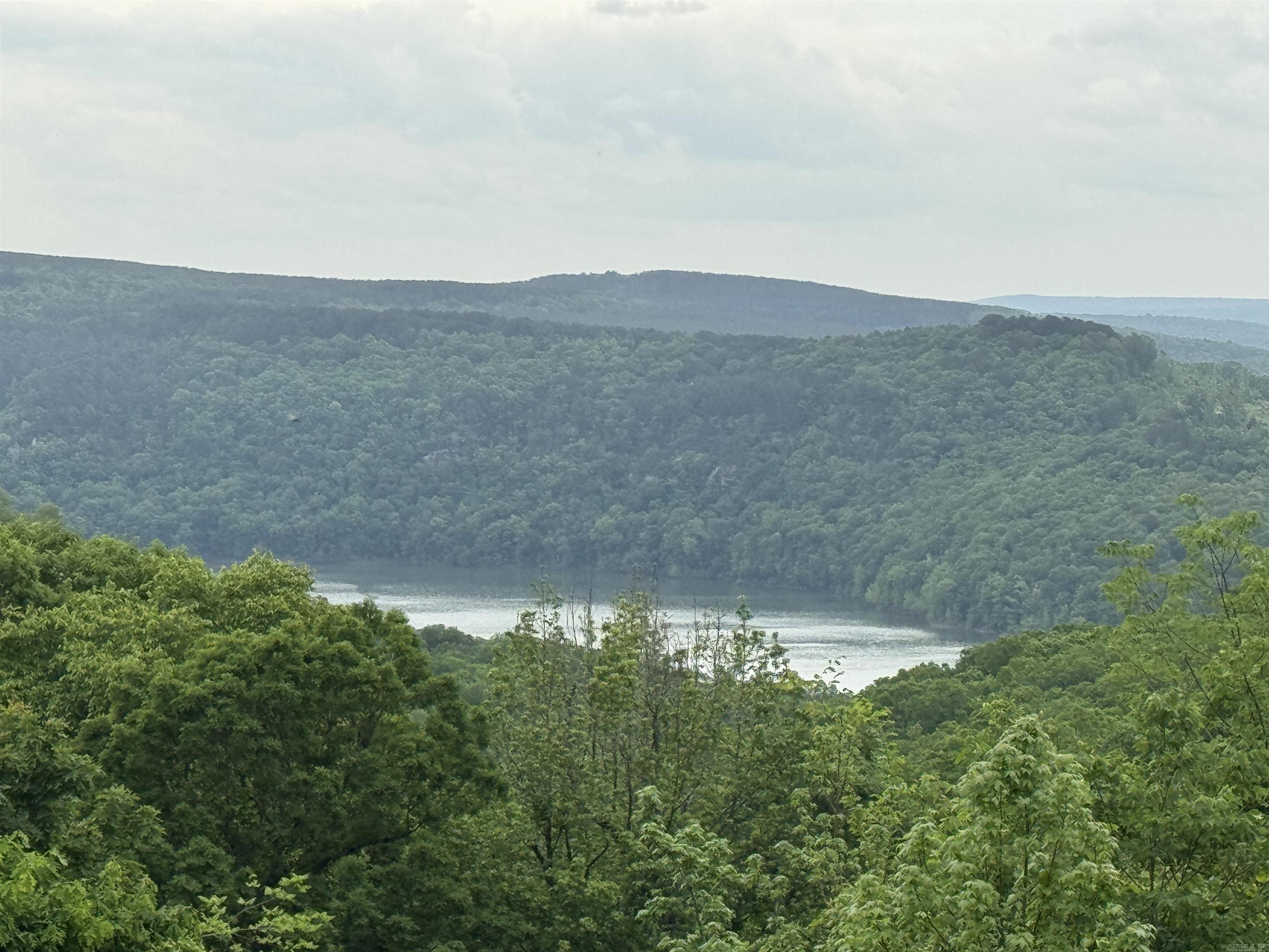 TRACT 2 Waters Edge Drive Edgemont, AR 72044