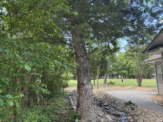 10  Zarina  Hot Springs Village, AR