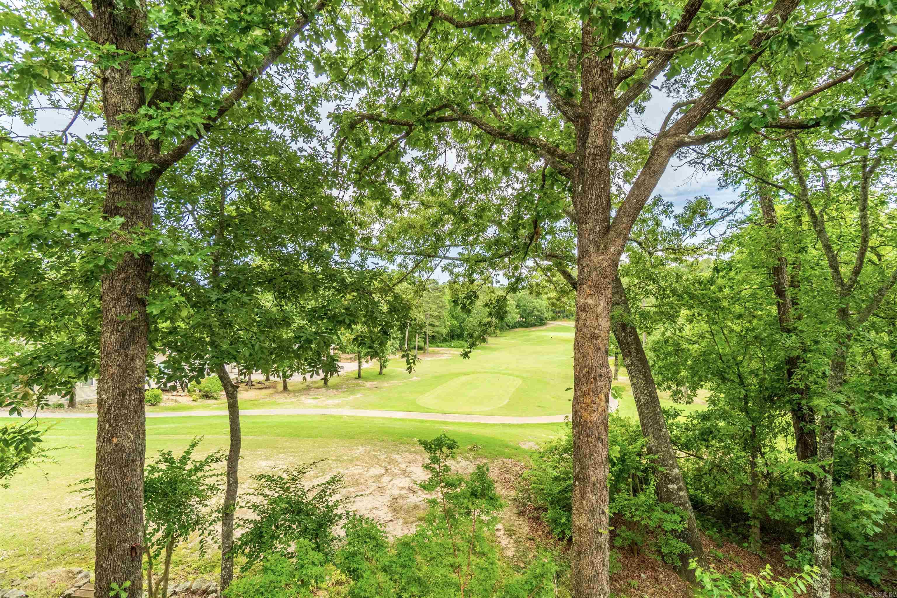 12  Zaragoza  Hot Springs Village, AR