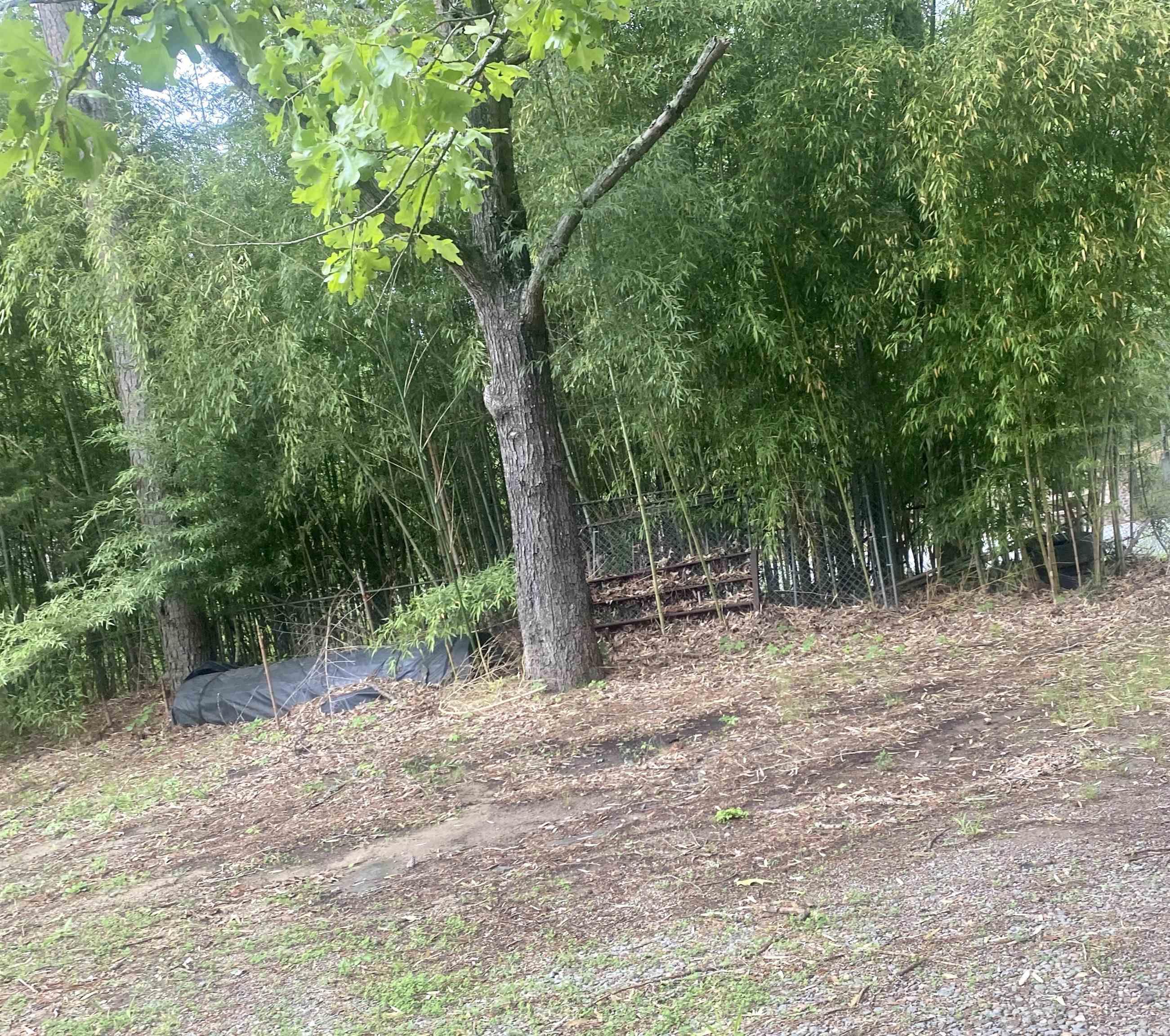 6905  Ram Rd.  Mabelvale, AR
