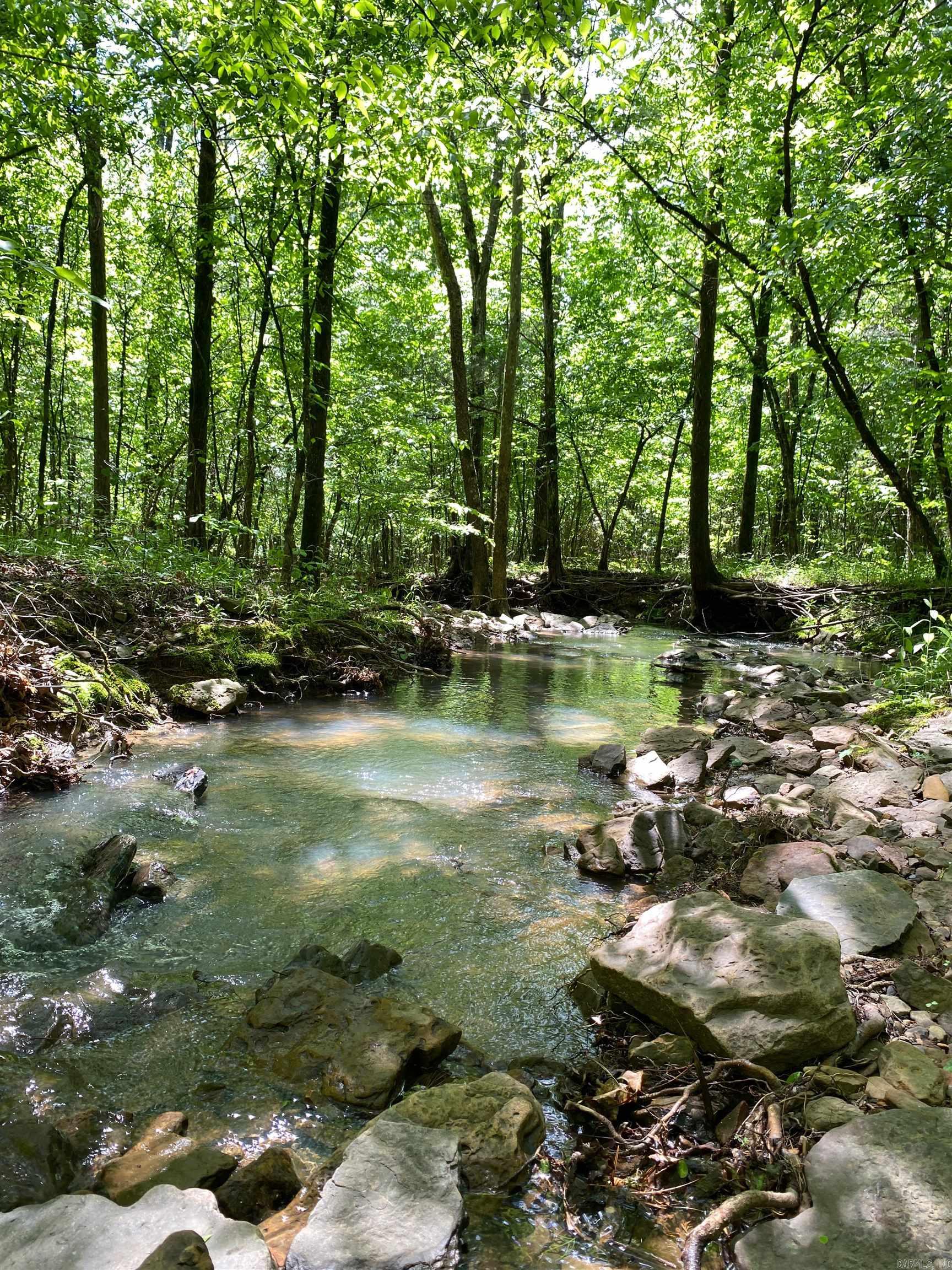   Hwy 164  Lamar, AR