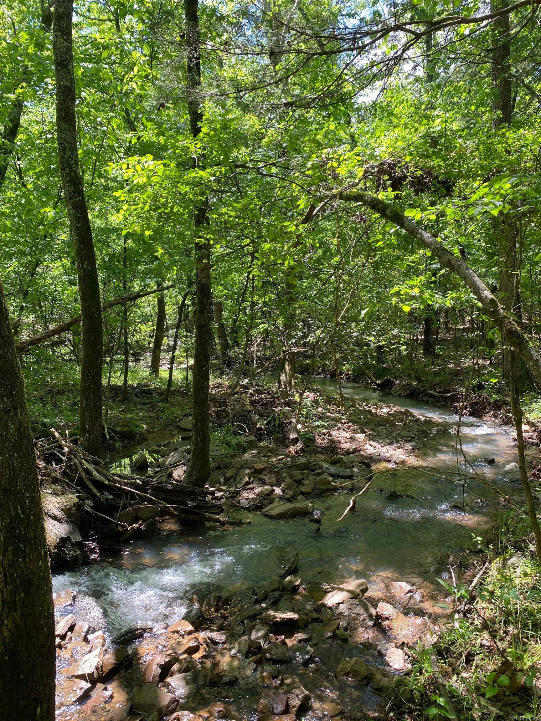   Hwy 164  Lamar, AR