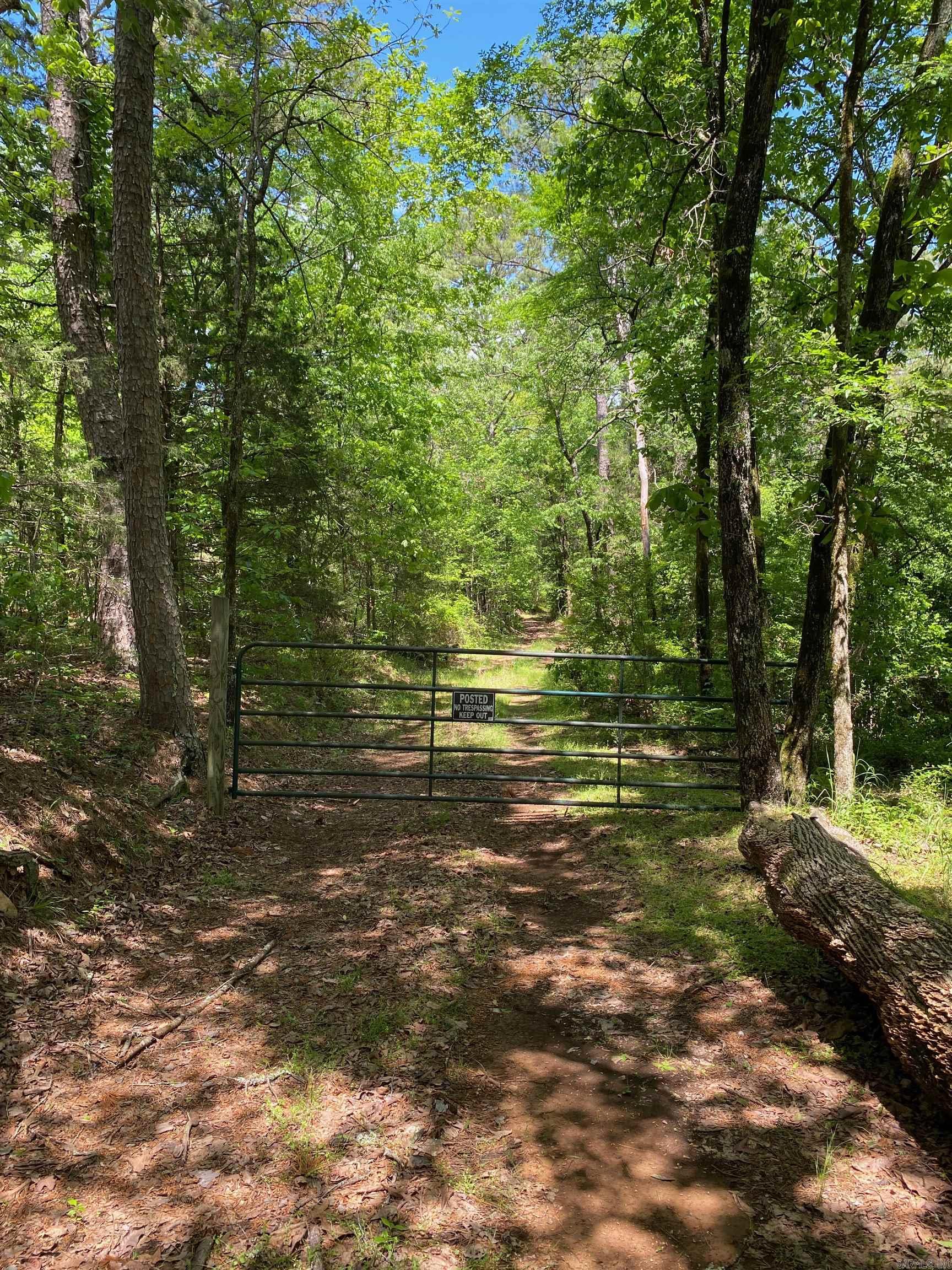   Hwy 164  Lamar, AR