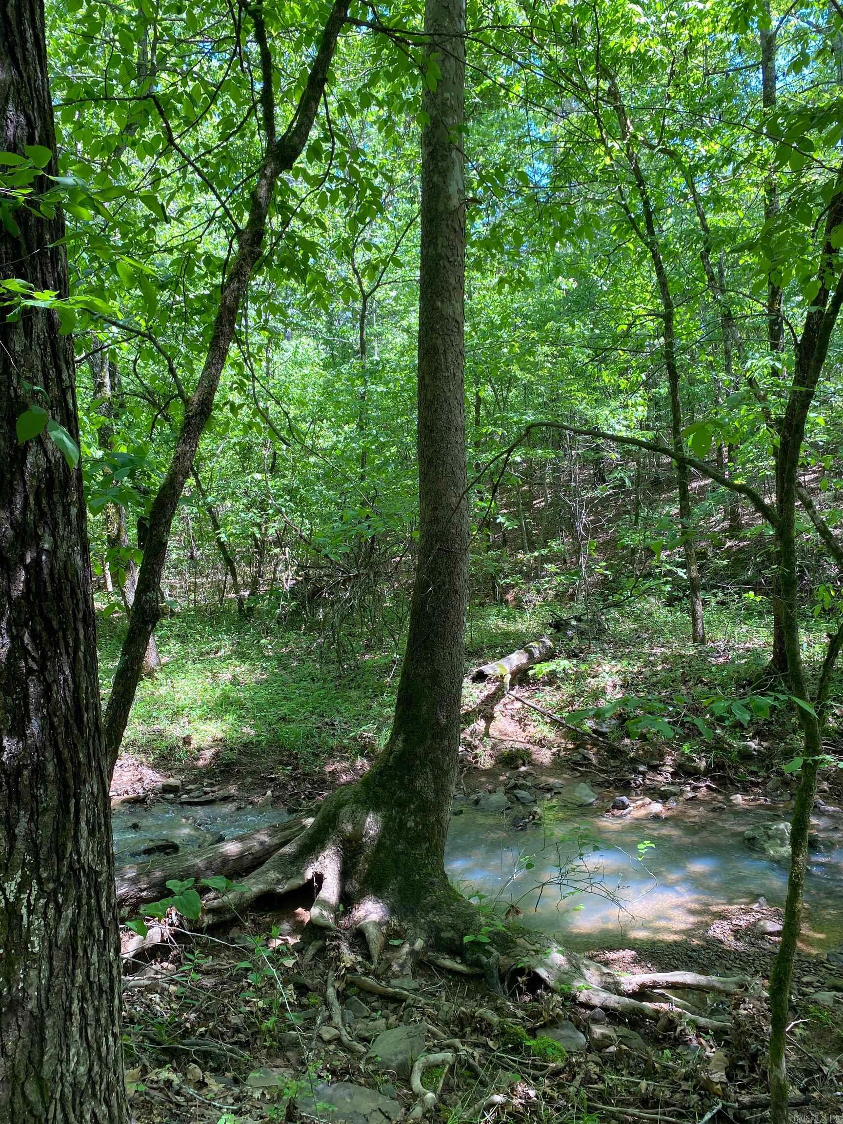   Hwy 164  Lamar, AR