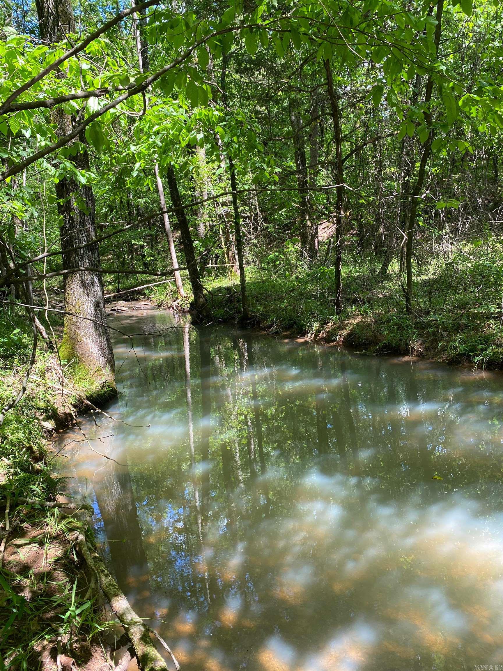   Hwy 164  Lamar, AR